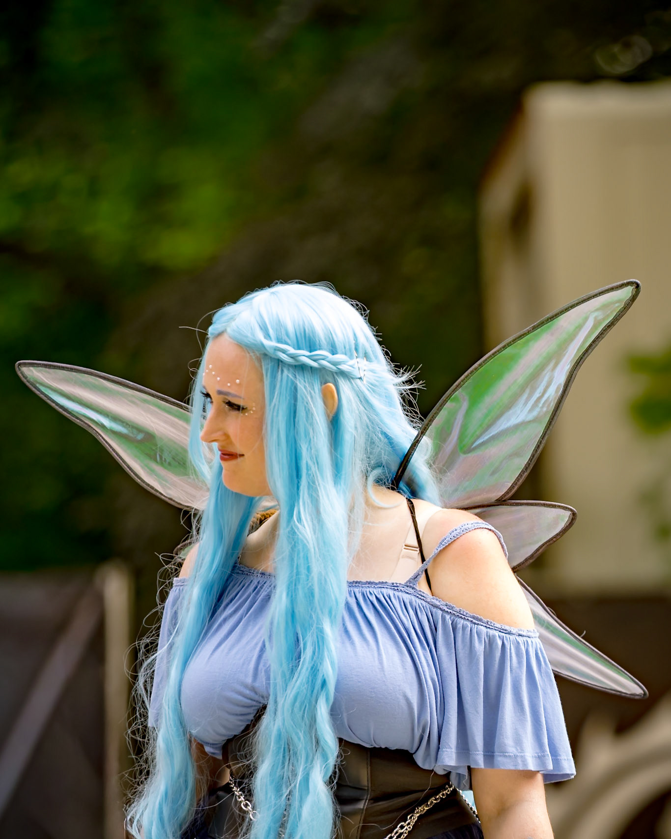 Gewandungsprämierung Sonntag - MPS Rastede