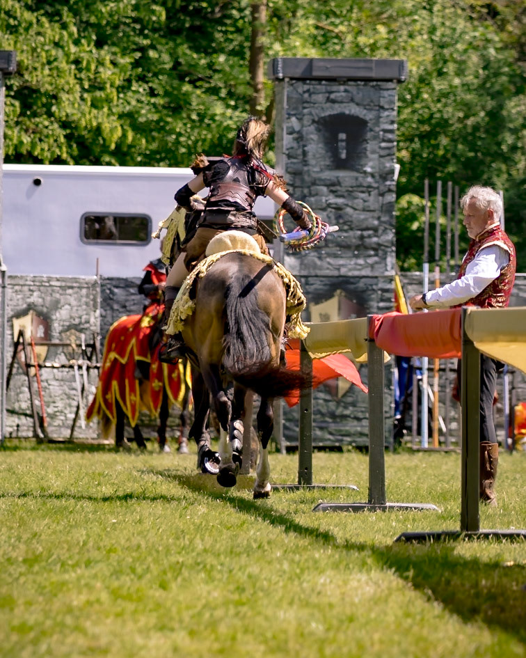 EHS - Das Schicksal der Drachen @ Junior MPS