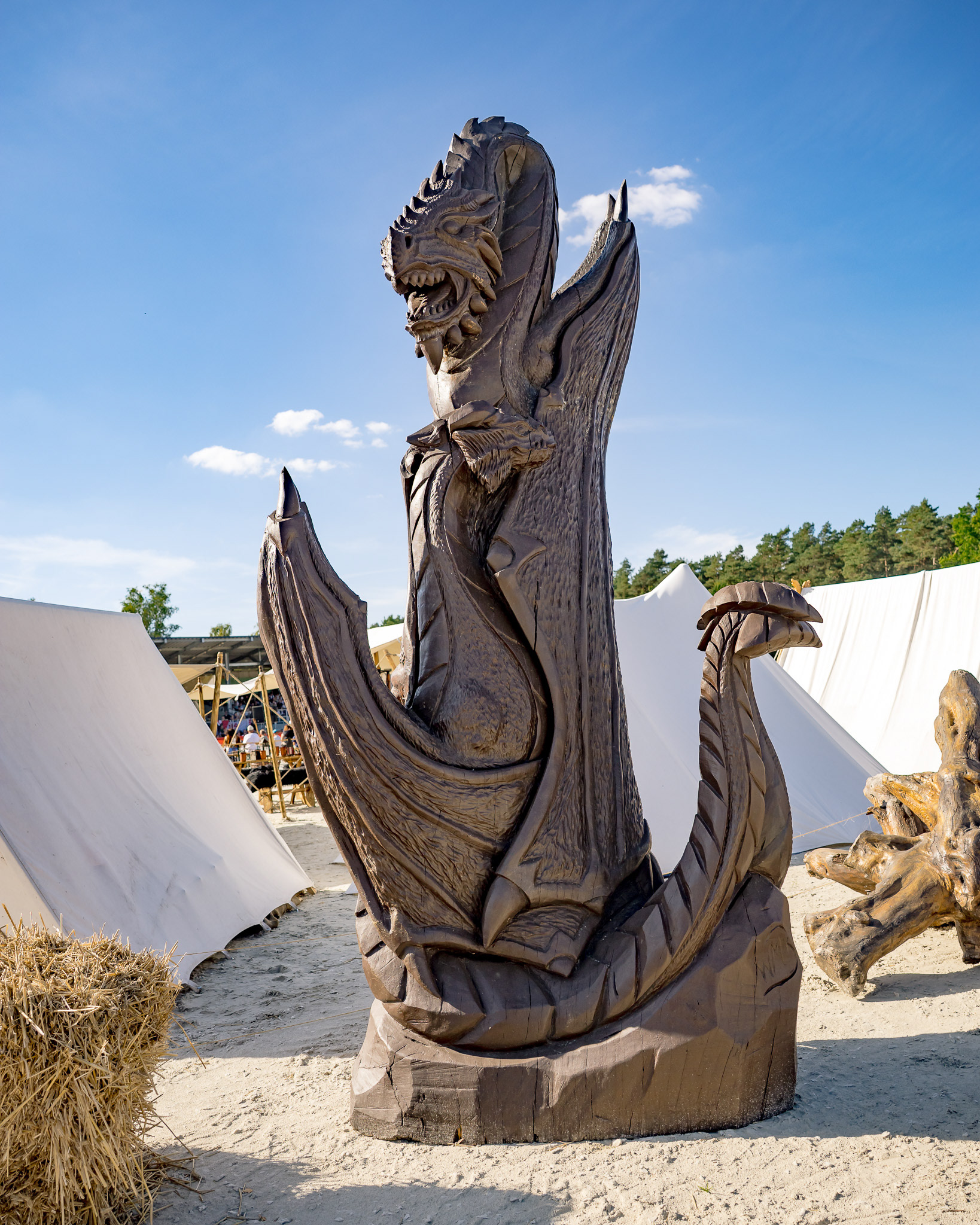 Impressionen MPS Luhmühlen