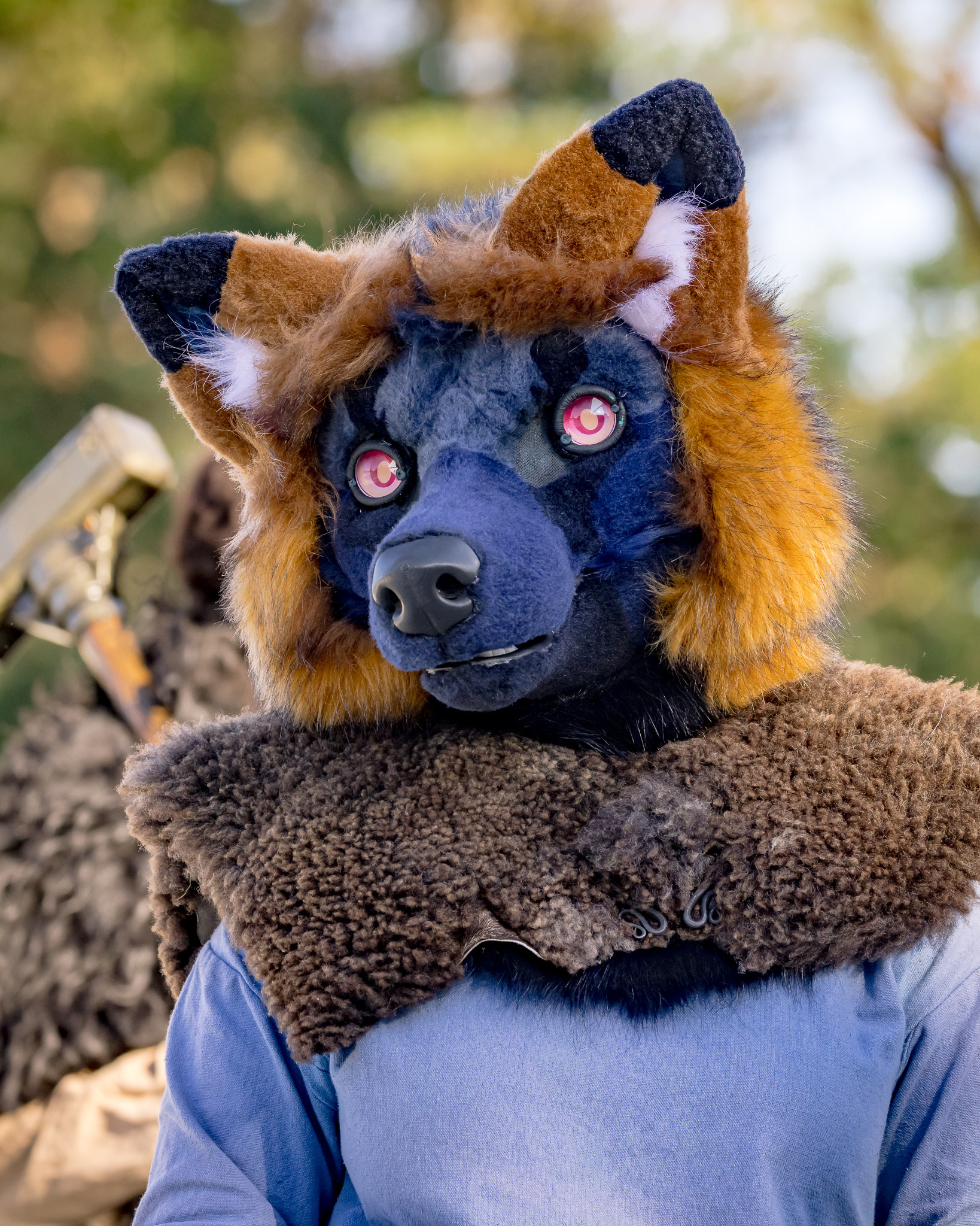 Gewandungsprämierung - MPS Luhmühlen