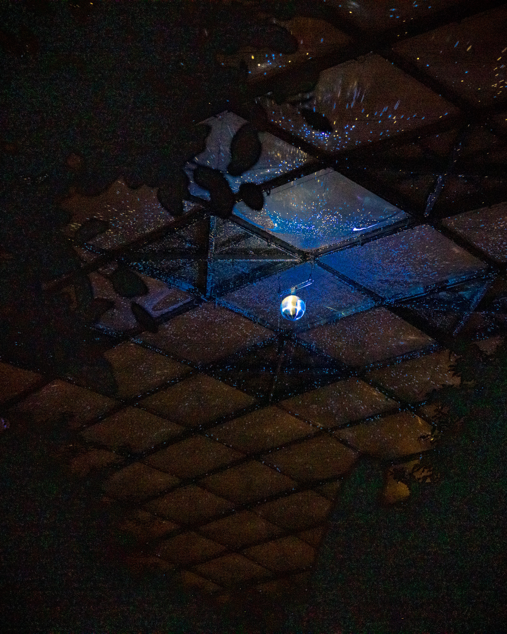 Magisches Tropenleuchten 2026