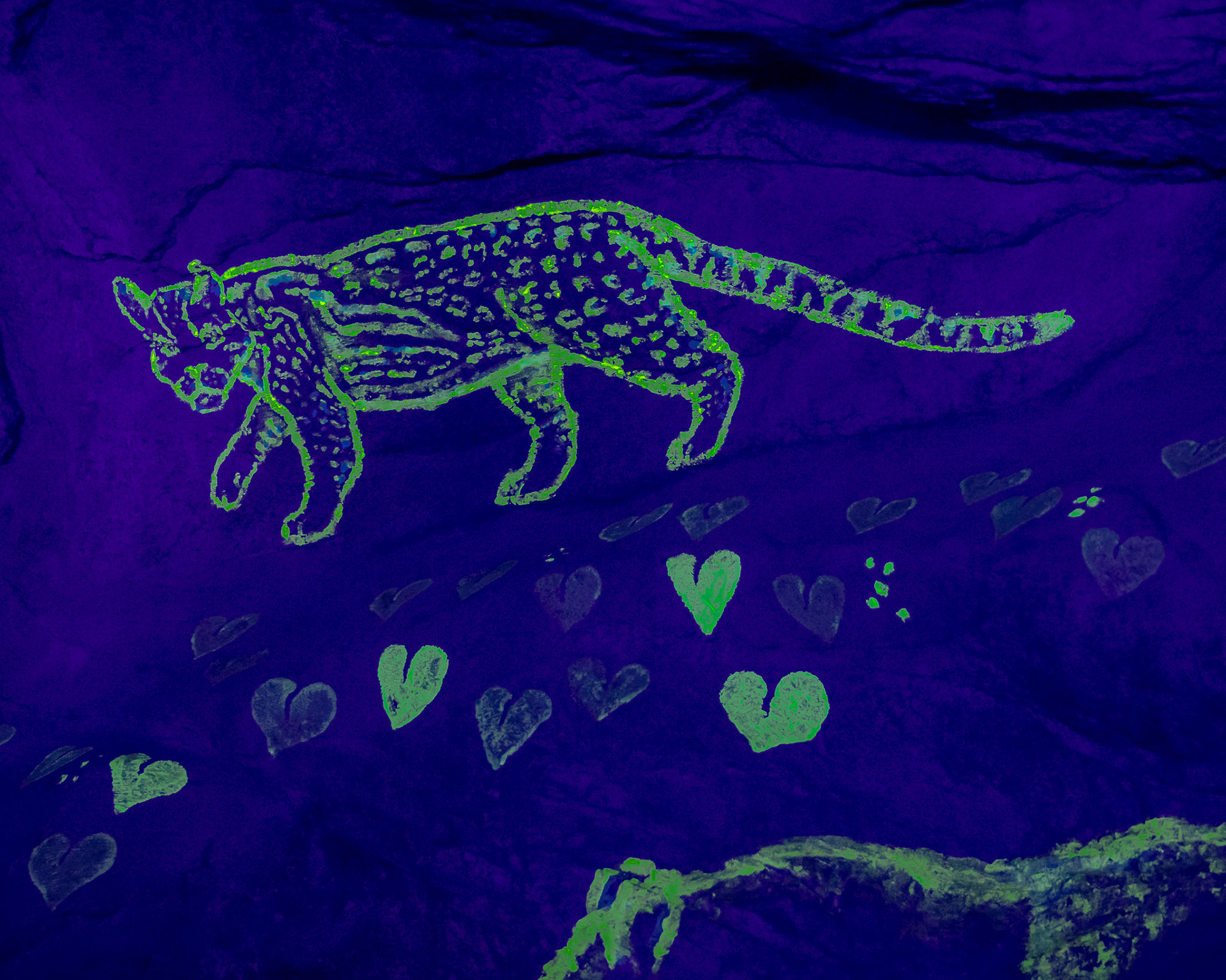 Magisches Tropenleuchten 2026