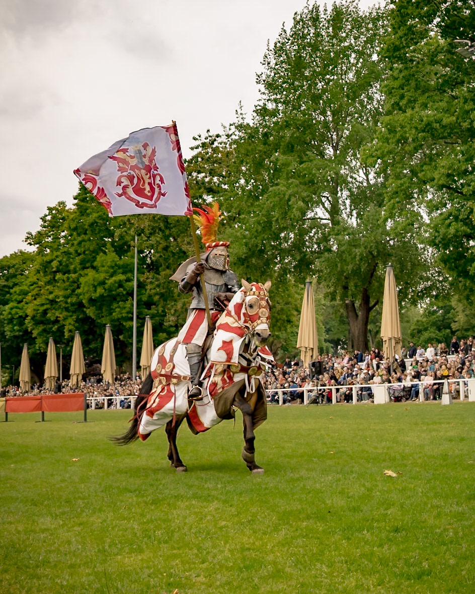 EHS Ritterturnier @ MPS Rastede