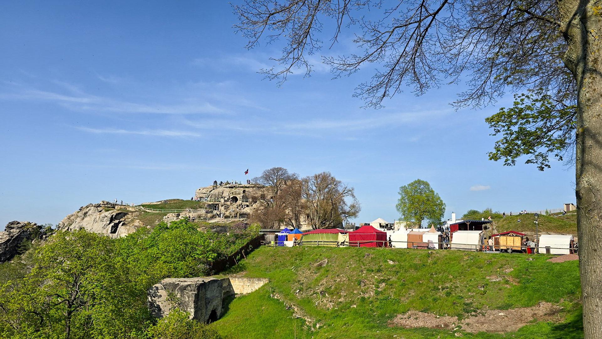 Wikinger auf Burg Regenstein