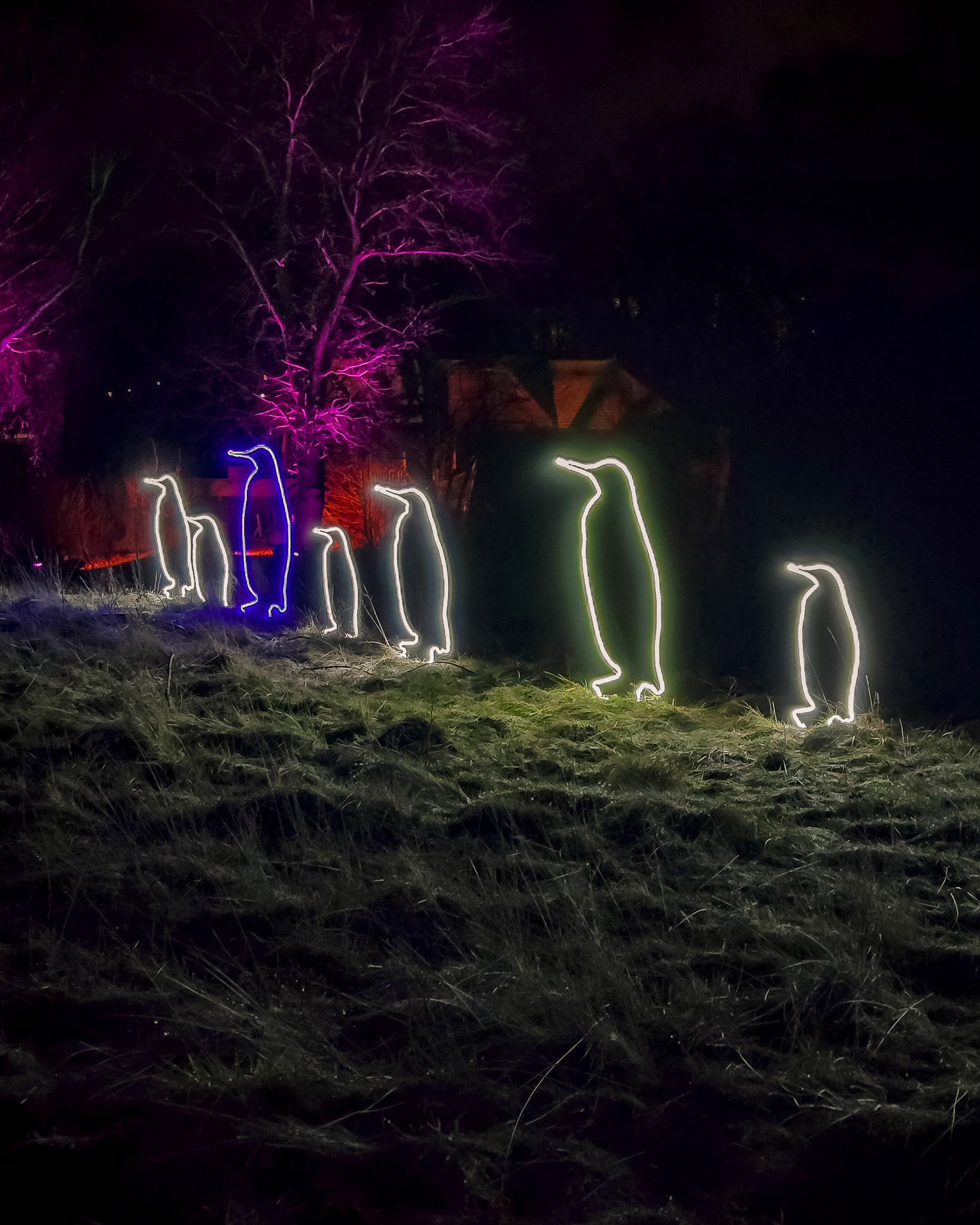 BRAWO Mühlenlichter 2026