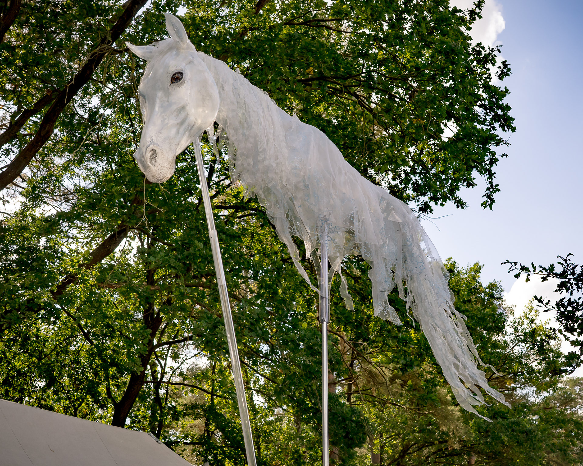 Pantao Windpferde- Impressionen MPS Luhmühlen