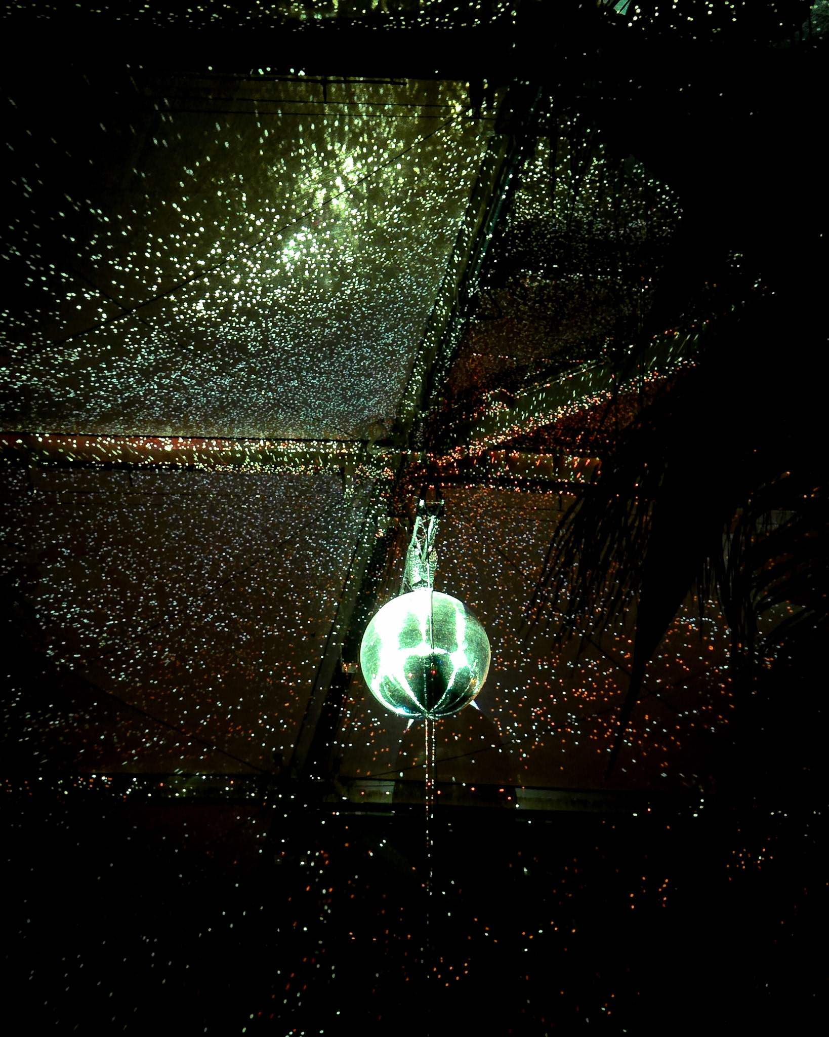 Magisches Tropenleuchten 2026