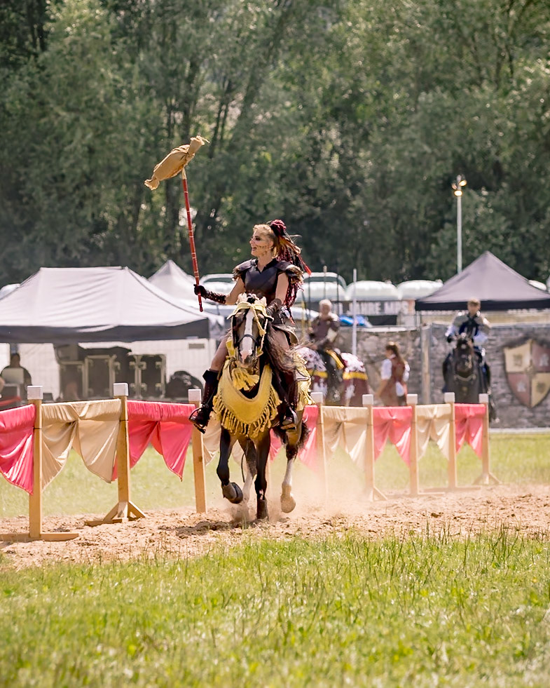 EHS - MPS Bückeburg