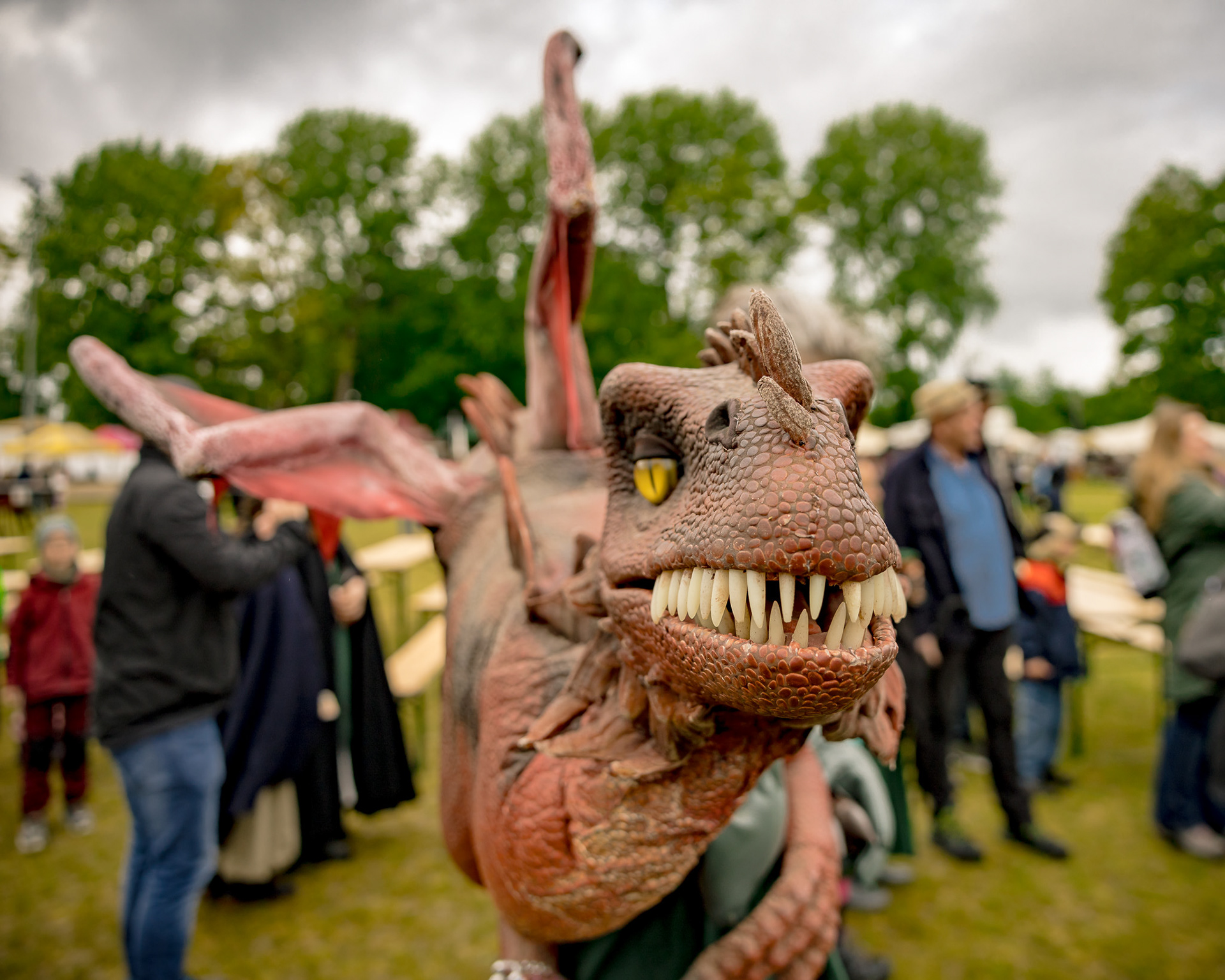 RaptoRex - MPS Rastede 2026