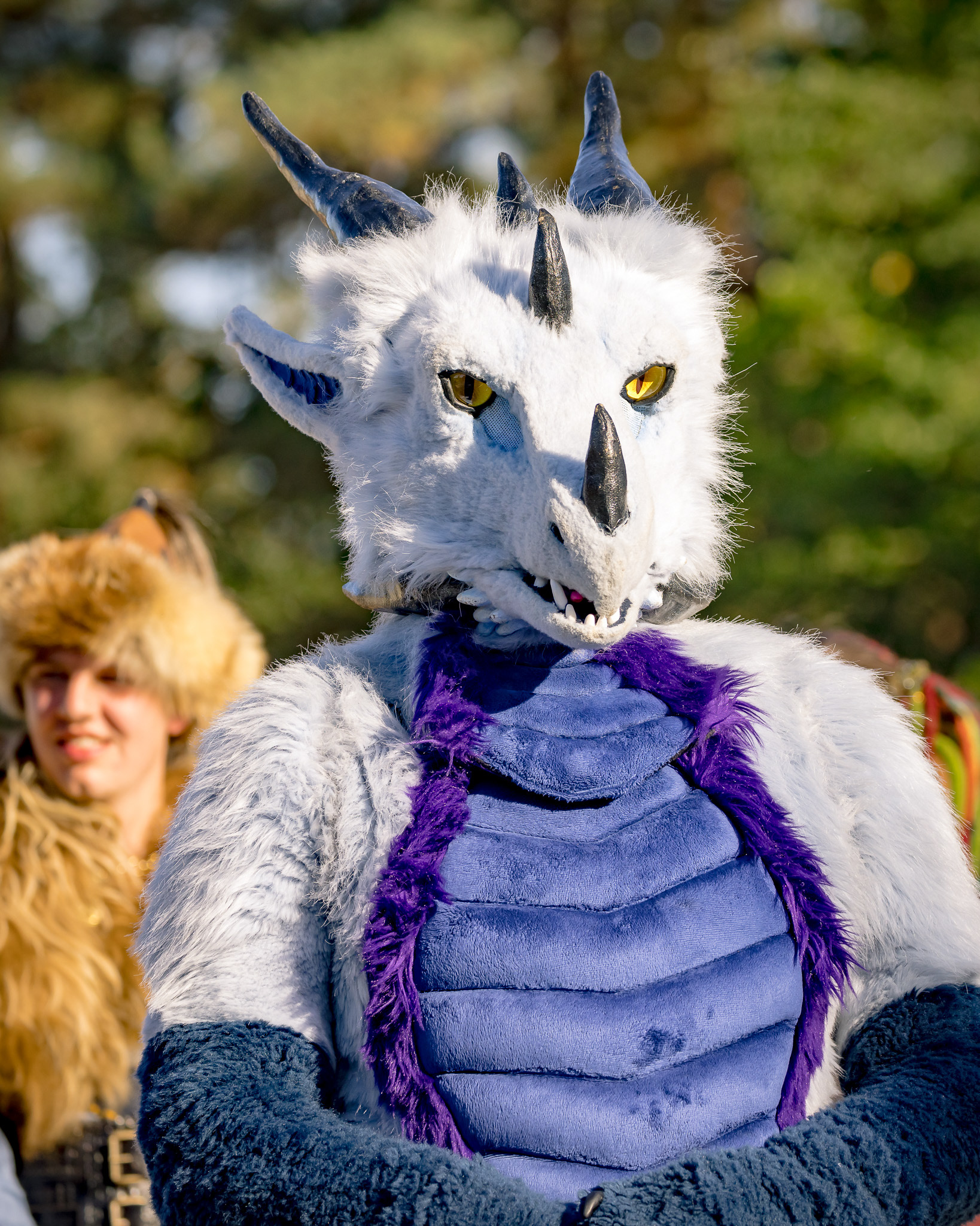 Gewandungsprämierung - MPS Luhmühlen