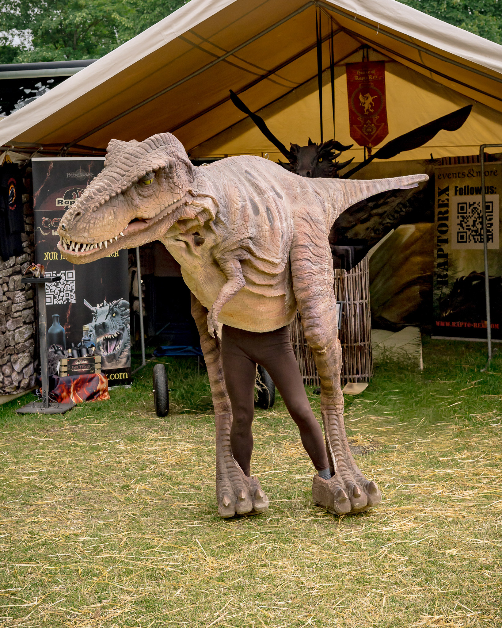 RaptoRex - MPS Rastede