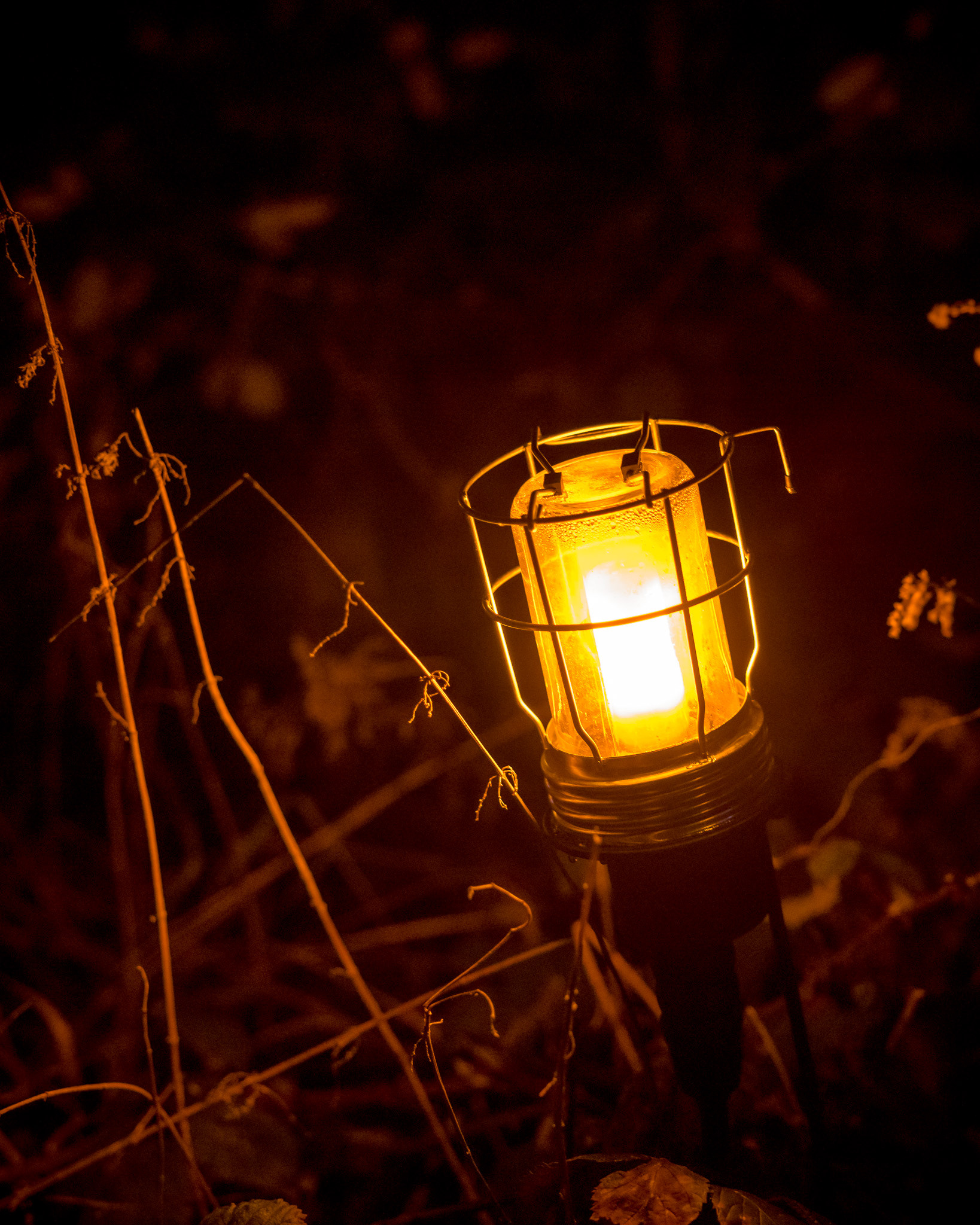 BRAWO Mühlenlichter 2026