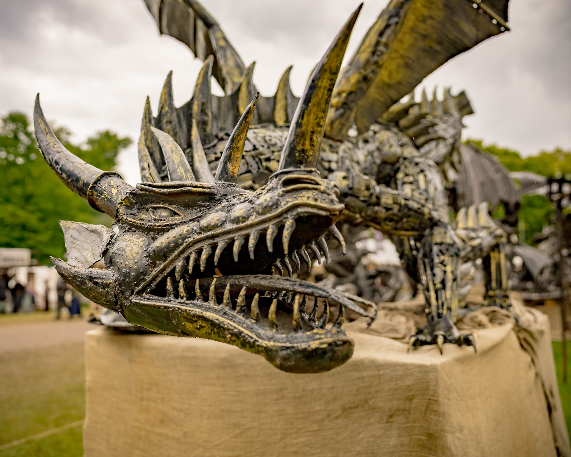 Drachenausstellung - MPS Rastede 2026