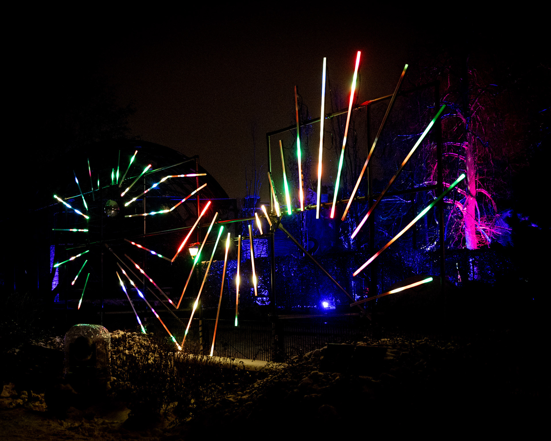 Magisches Tropenleuchten 2026