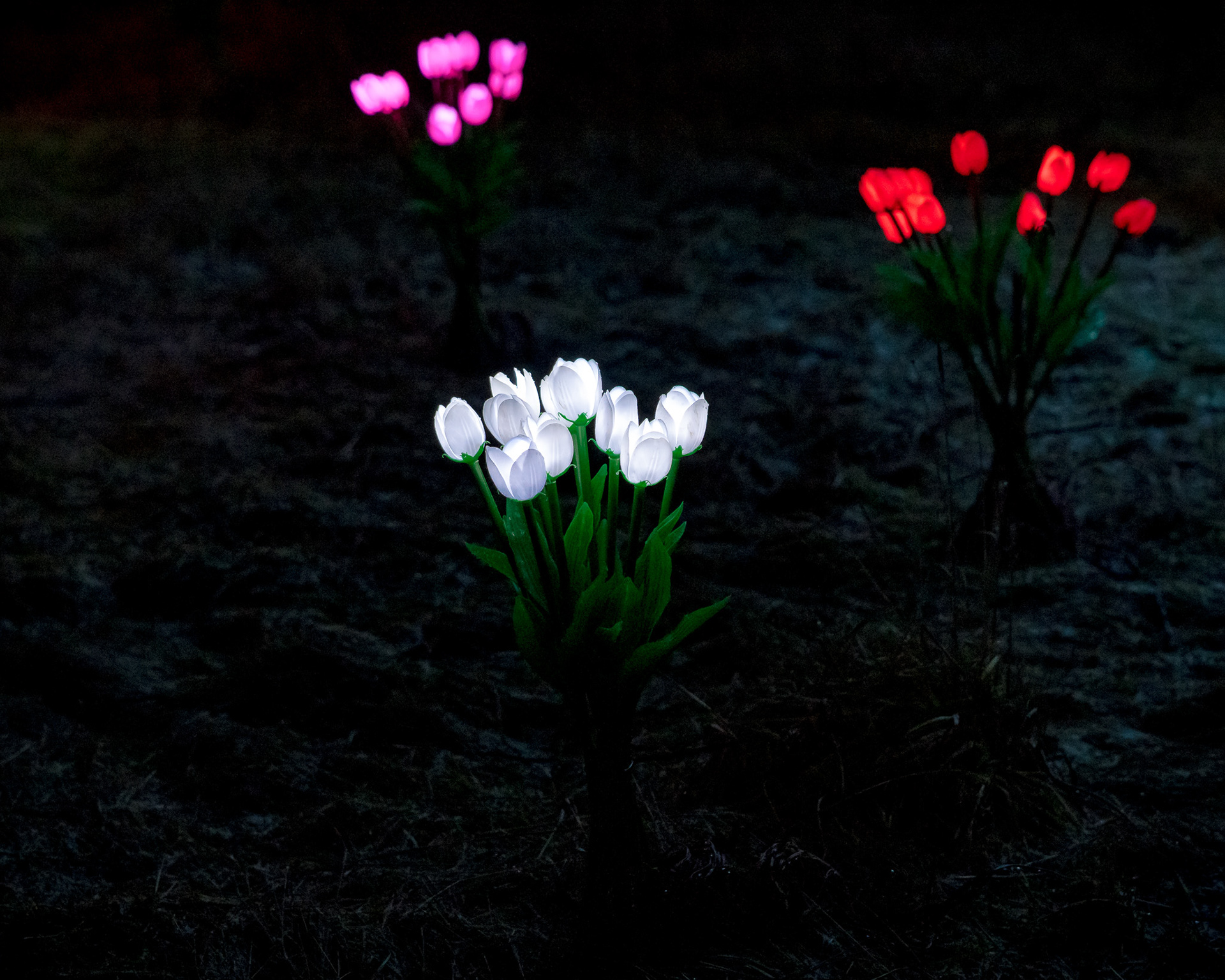 BRAWO Mühlenlichter 2026