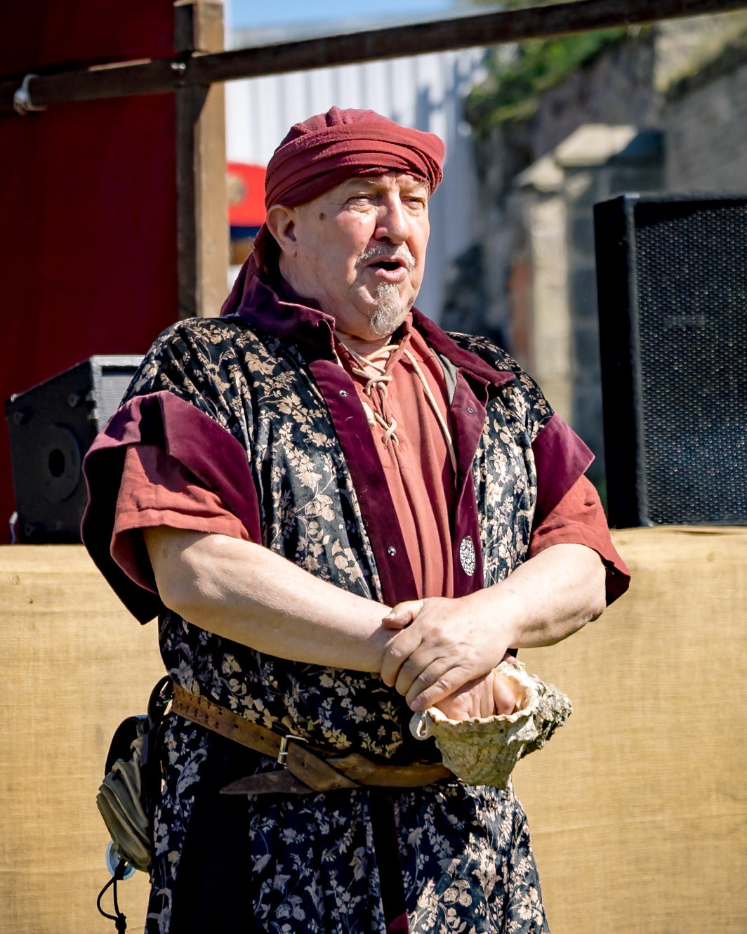 Rudolfo @ Wikinger auf Burg Regenstein