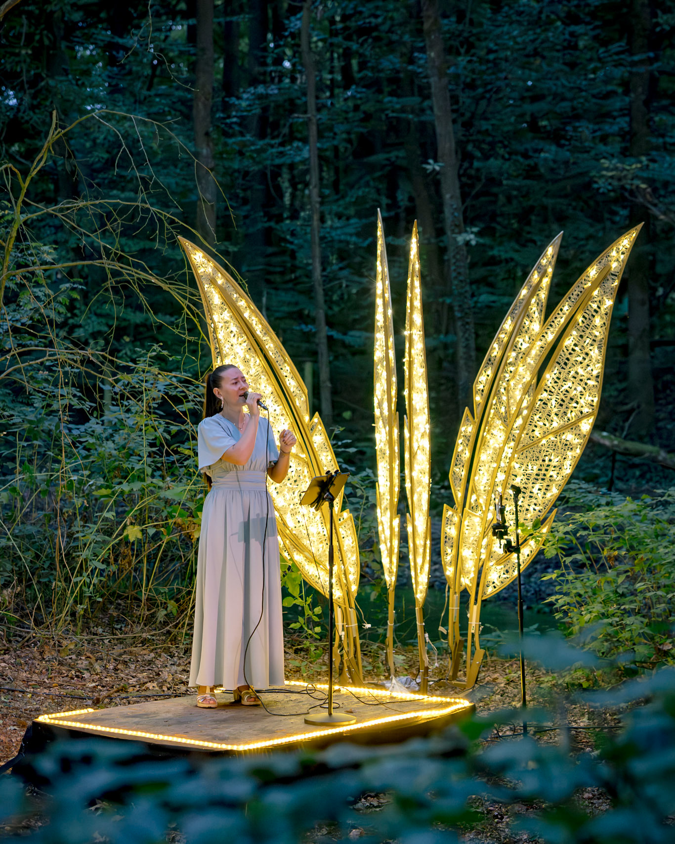 Irina Martynow - Lichterwelten 2025