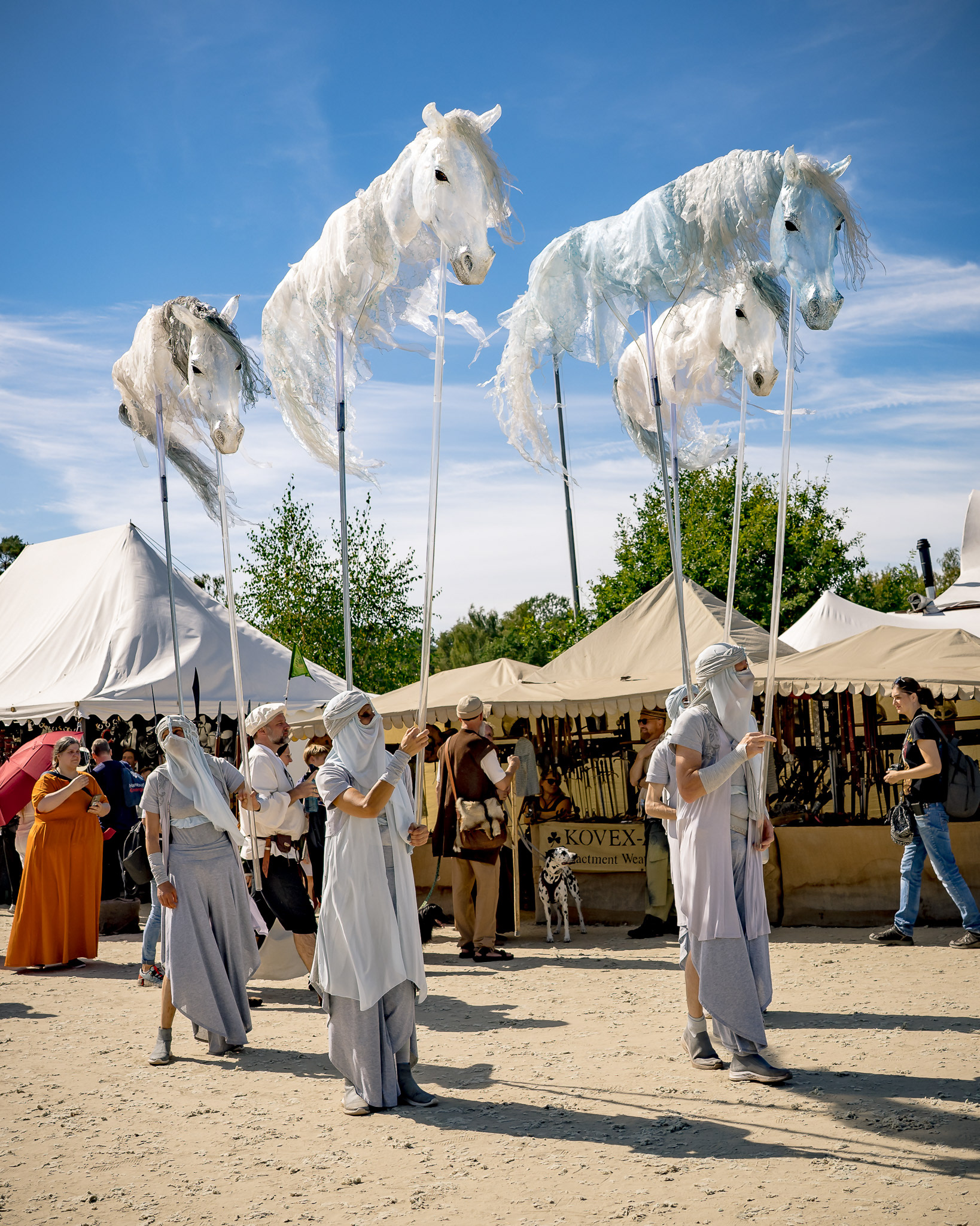 Pantao Windpferde- Impressionen MPS Luhmühlen