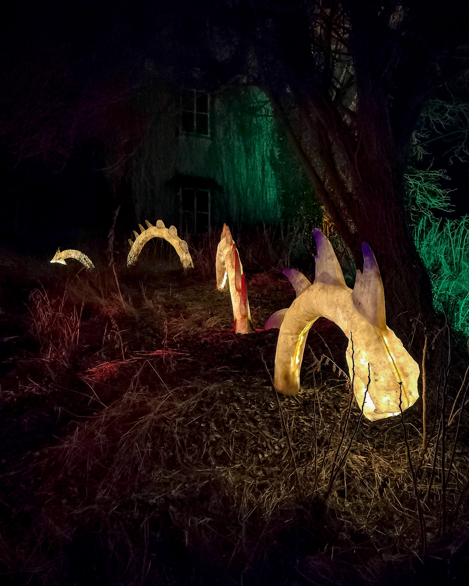 BRAWO Mühlenlichter 2026