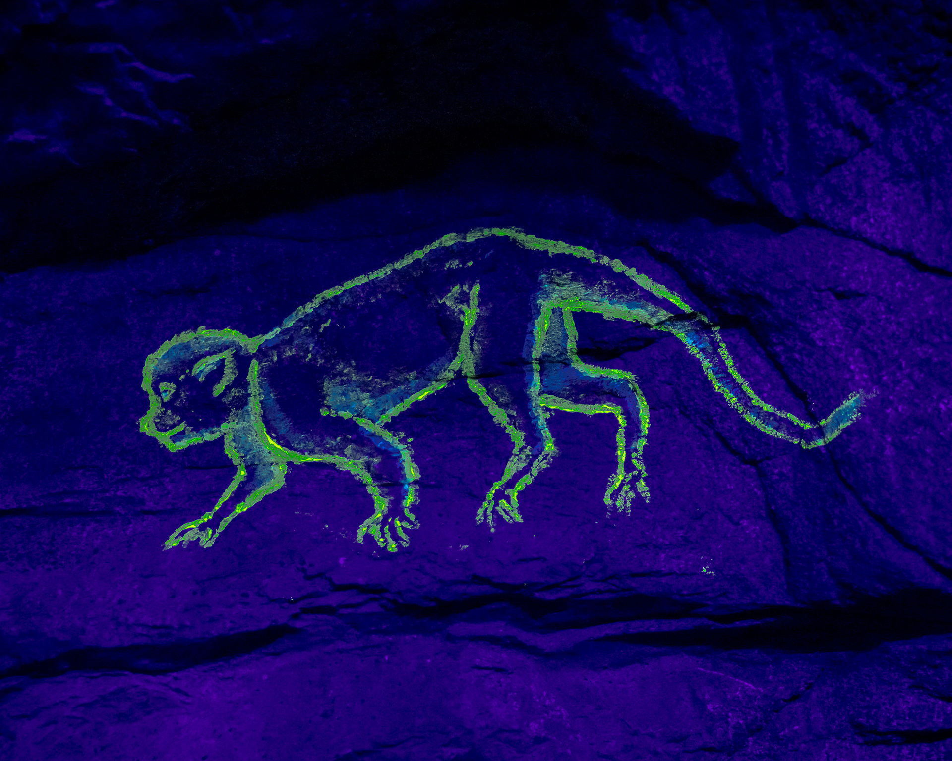 Magisches Tropenleuchten 2026