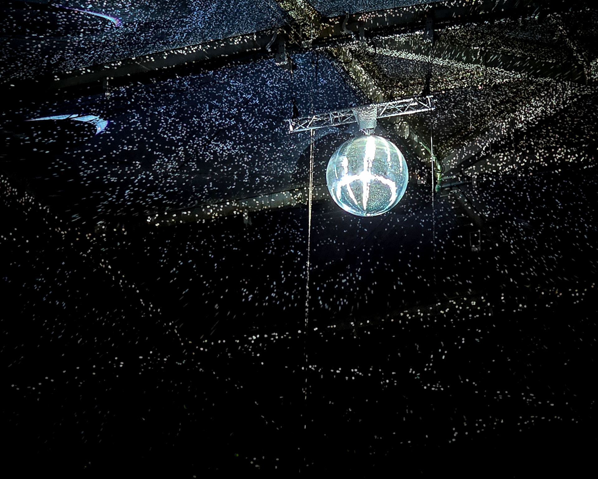 Magisches Tropenleuchten 2026