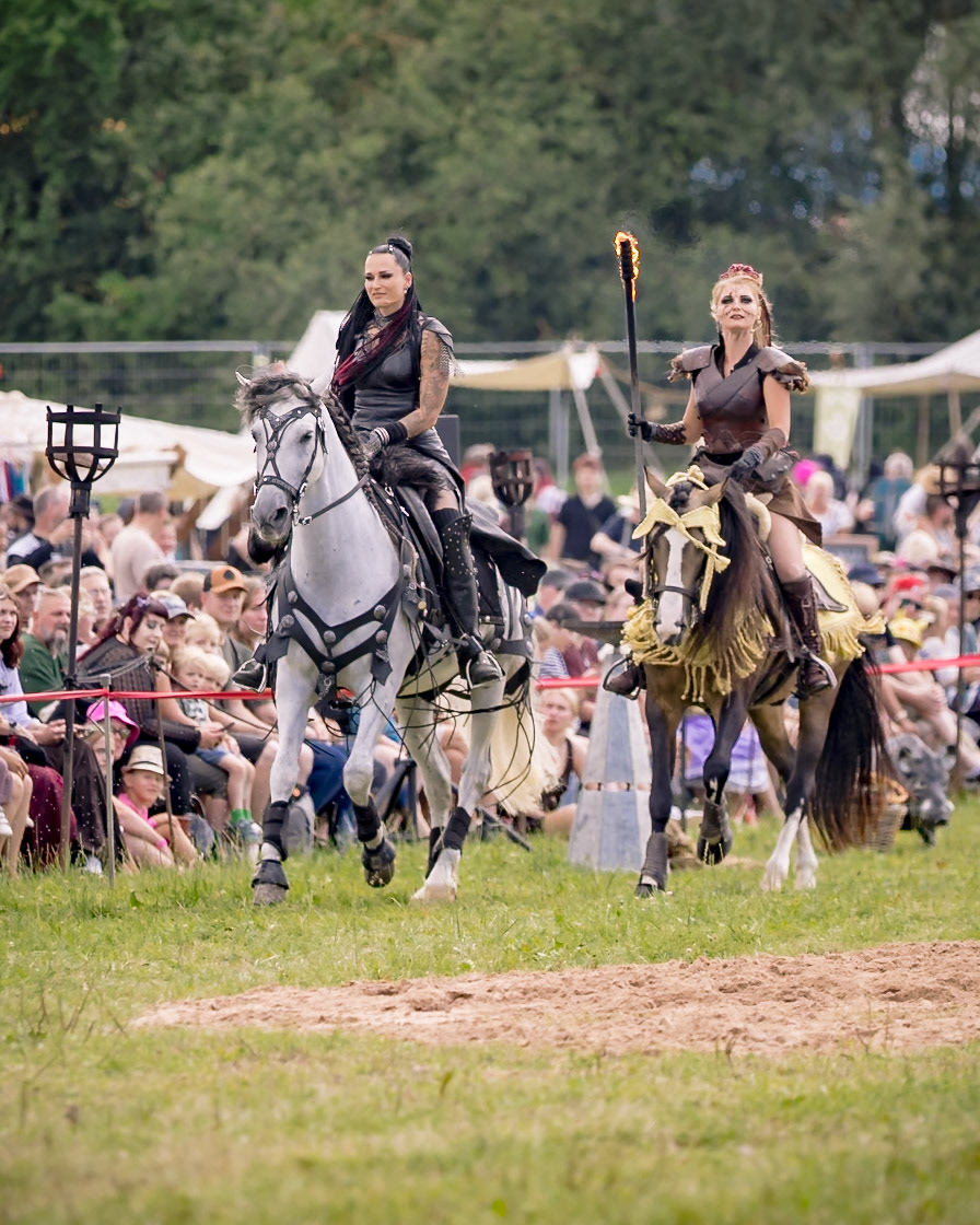 EHS - MPS Bückeburg