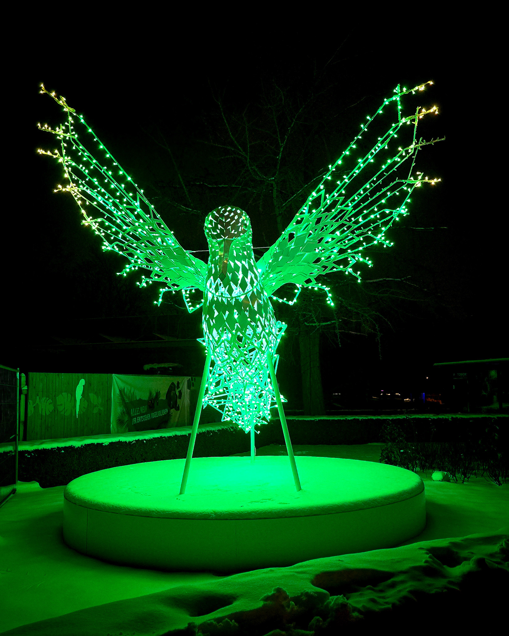 Magisches Tropenleuchten 2026