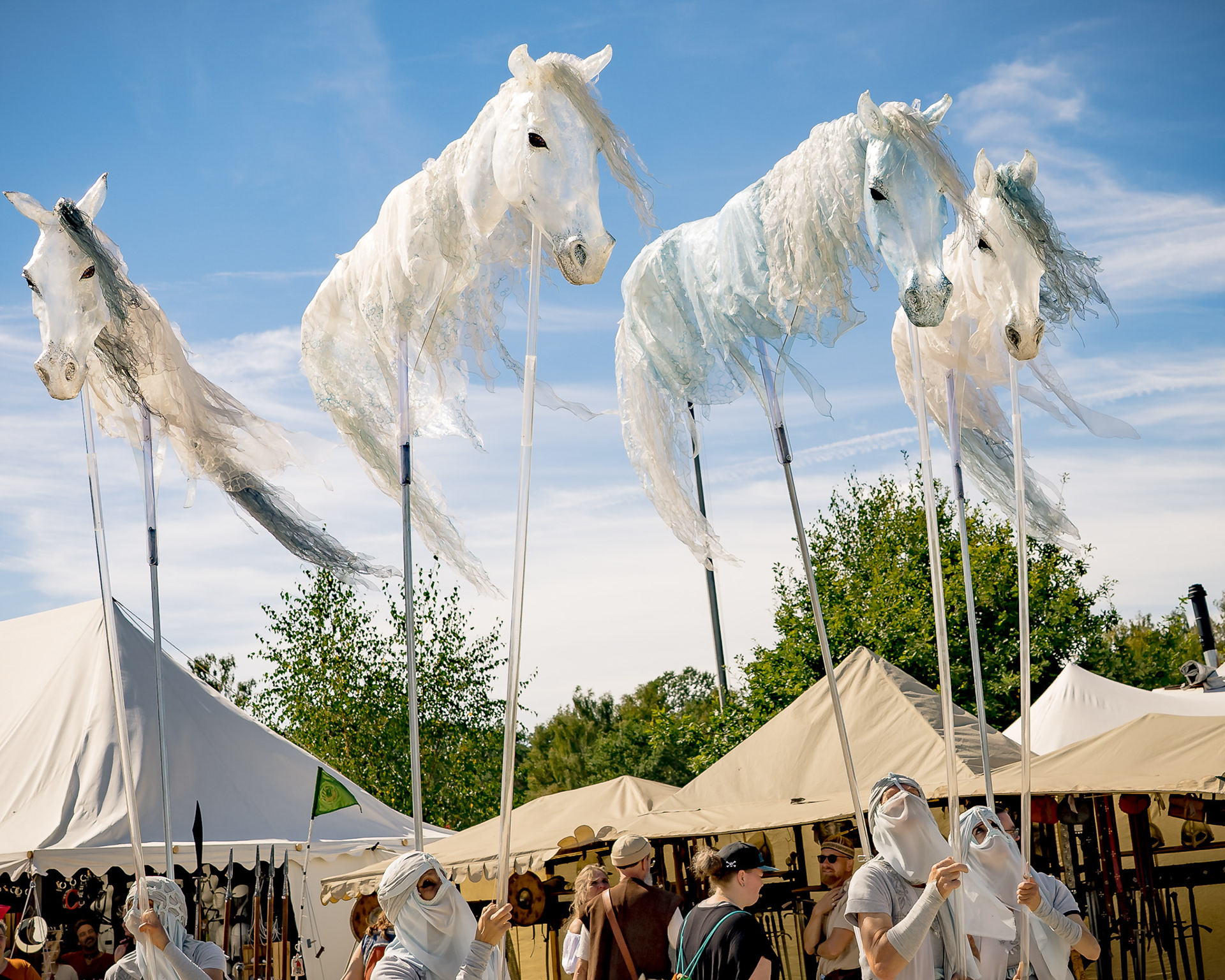 Pantao Windpferde- Impressionen MPS Luhmühlen