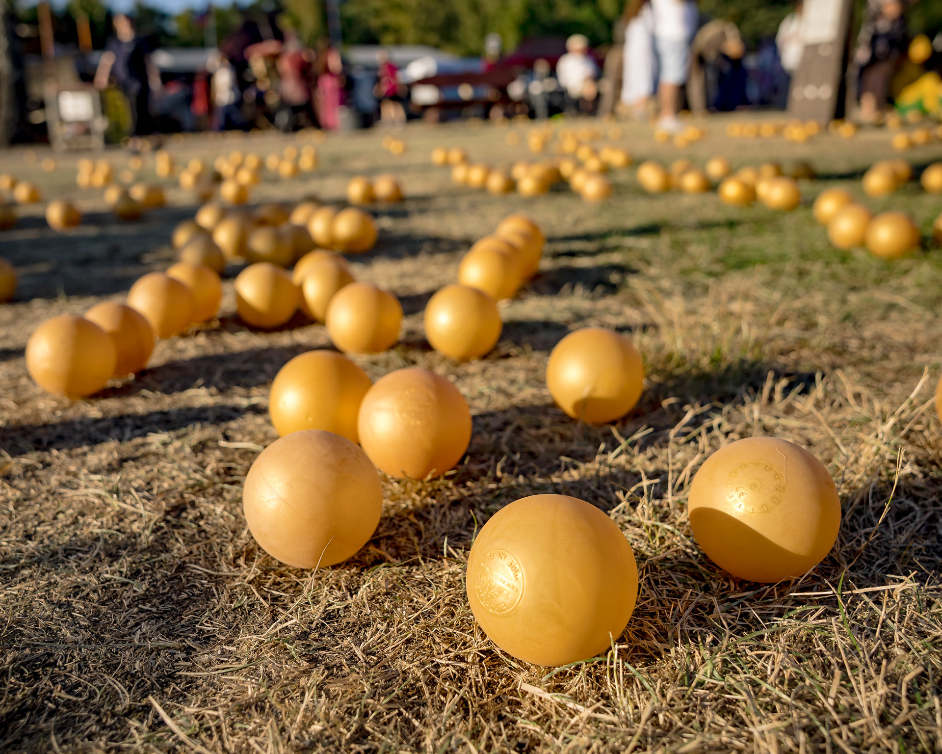 Impressionen MPS Luhmühlen
