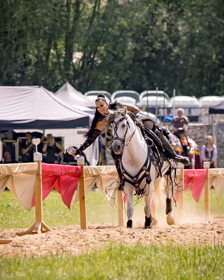 EHS - MPS Bückeburg