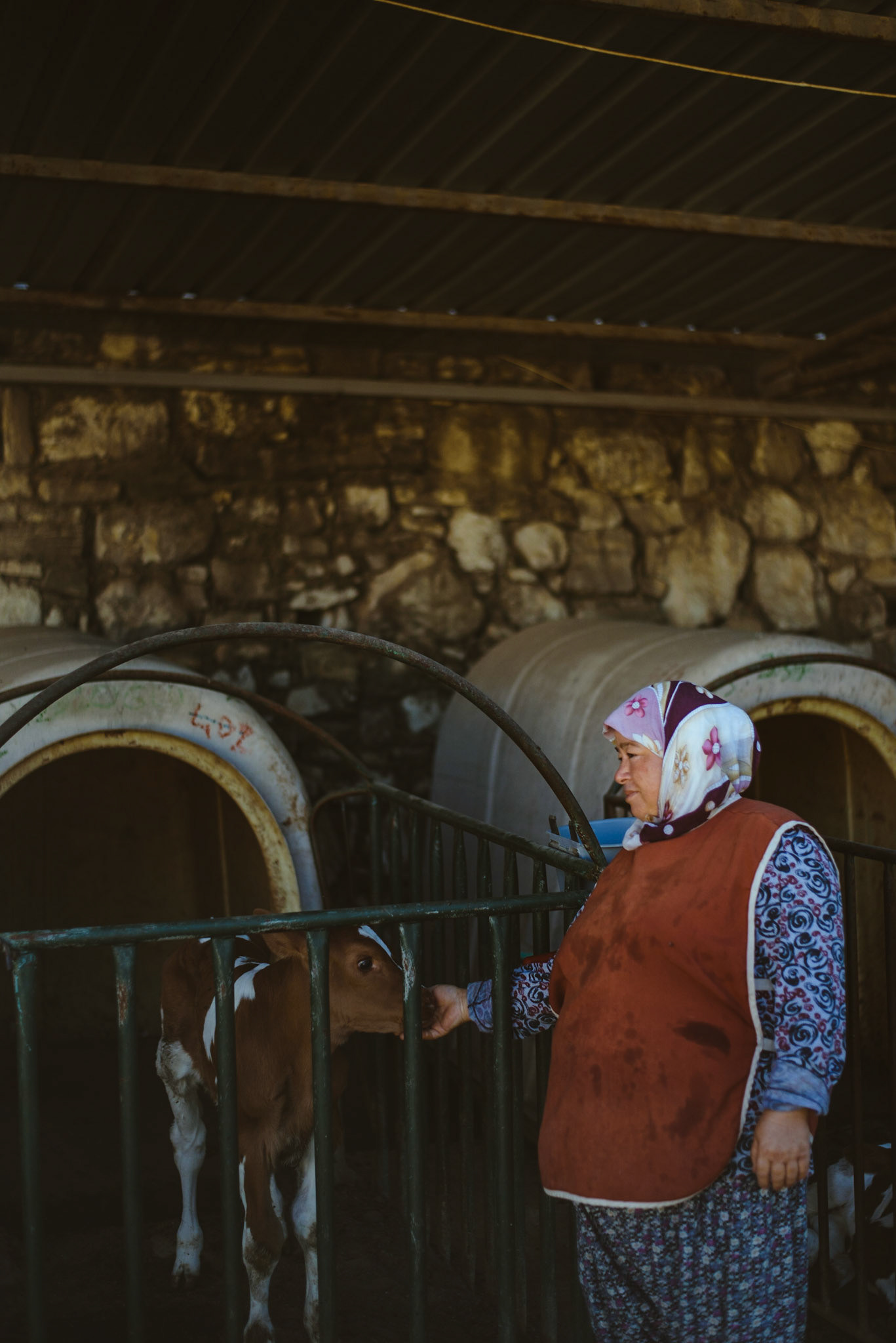Değirmen Park, Kuşadası 