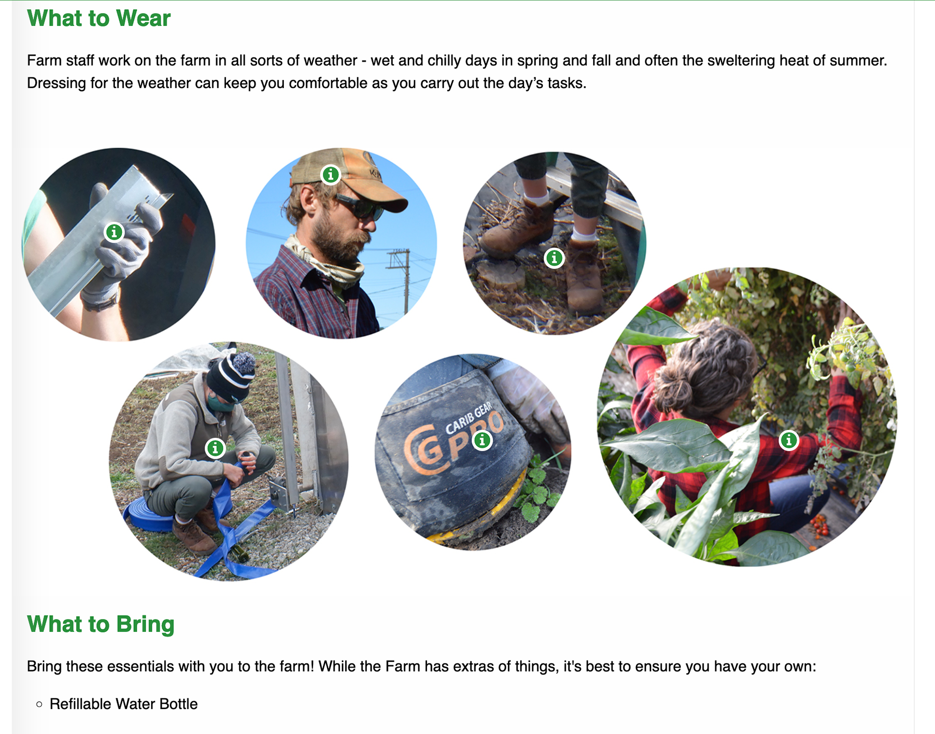 What to Wear