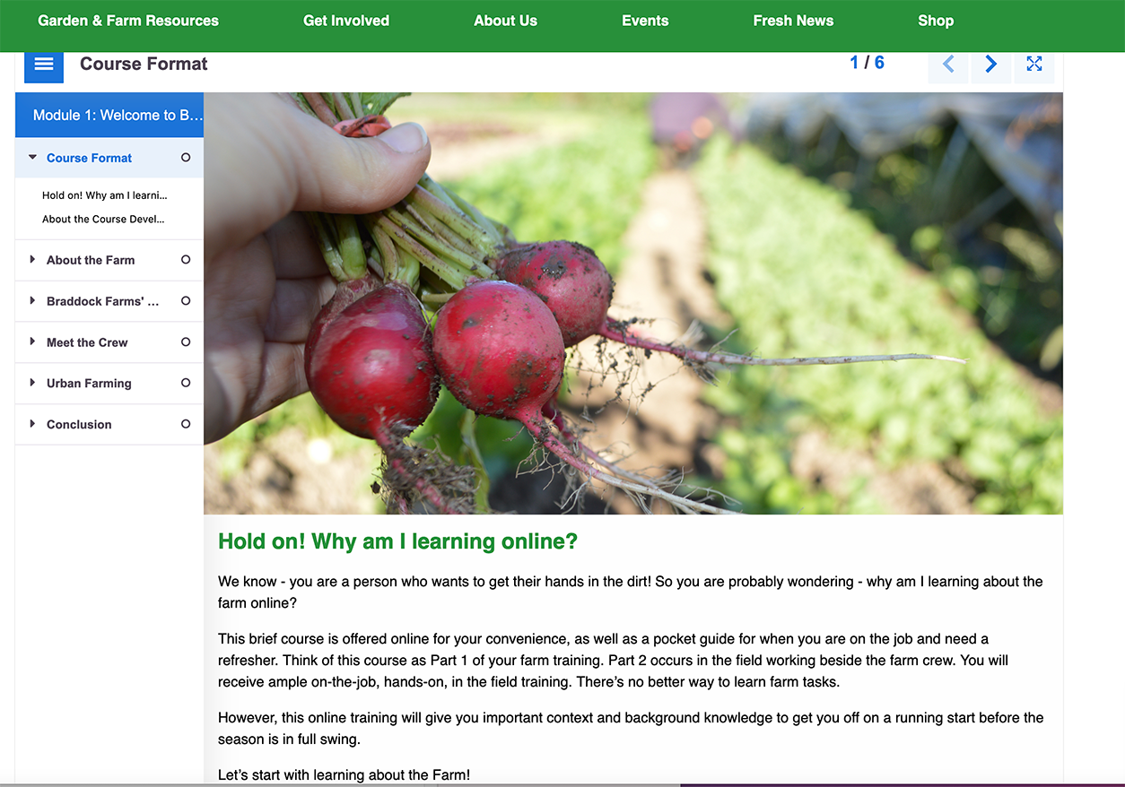 Orienting the learner to the online format