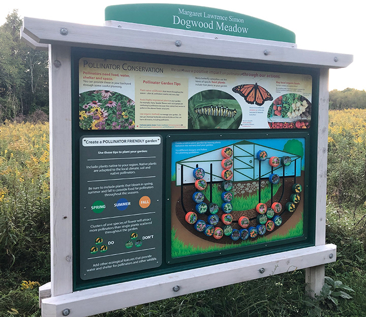 Pollinator Conservation