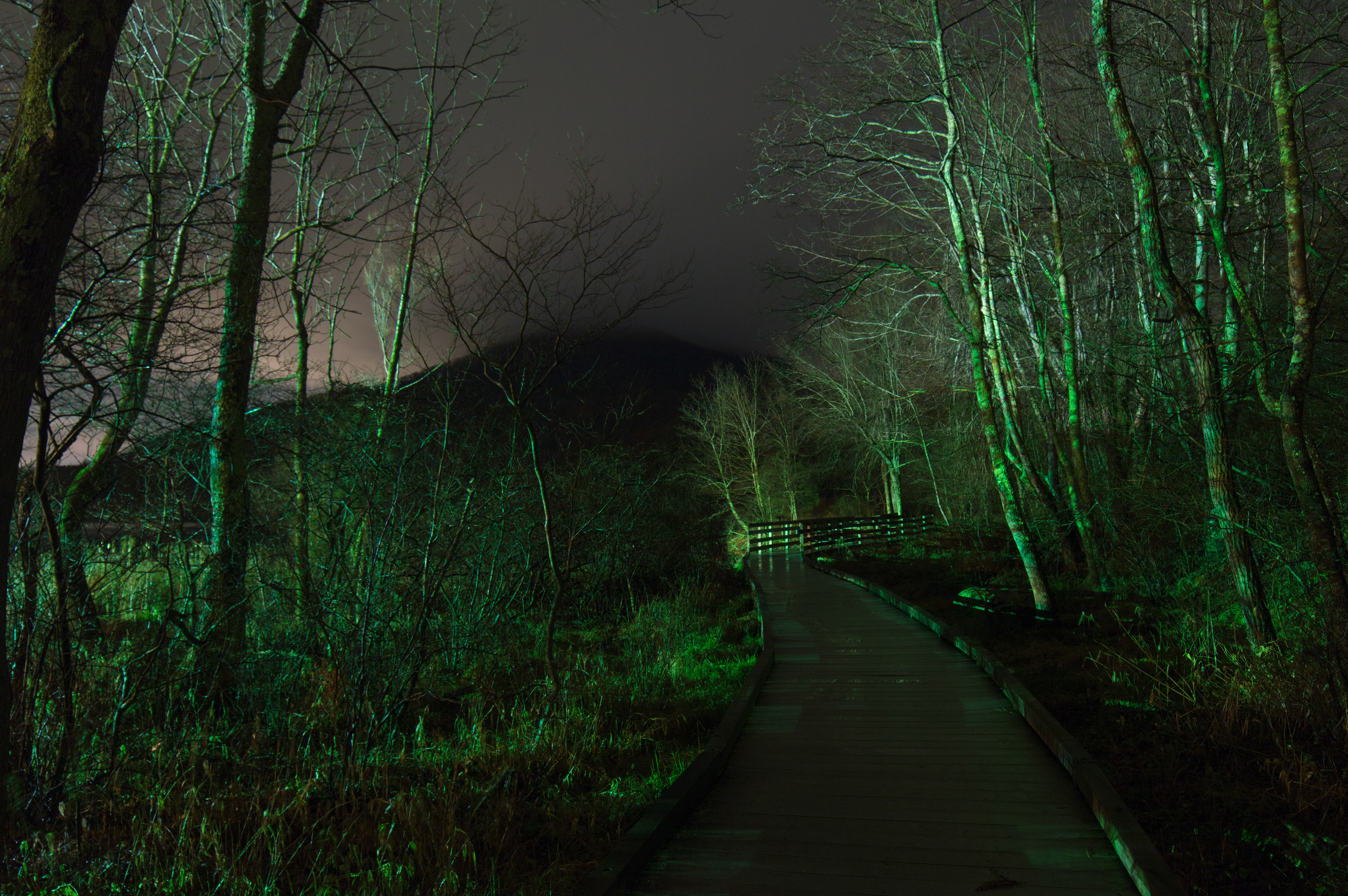 Lynchburg, VA December 2015
