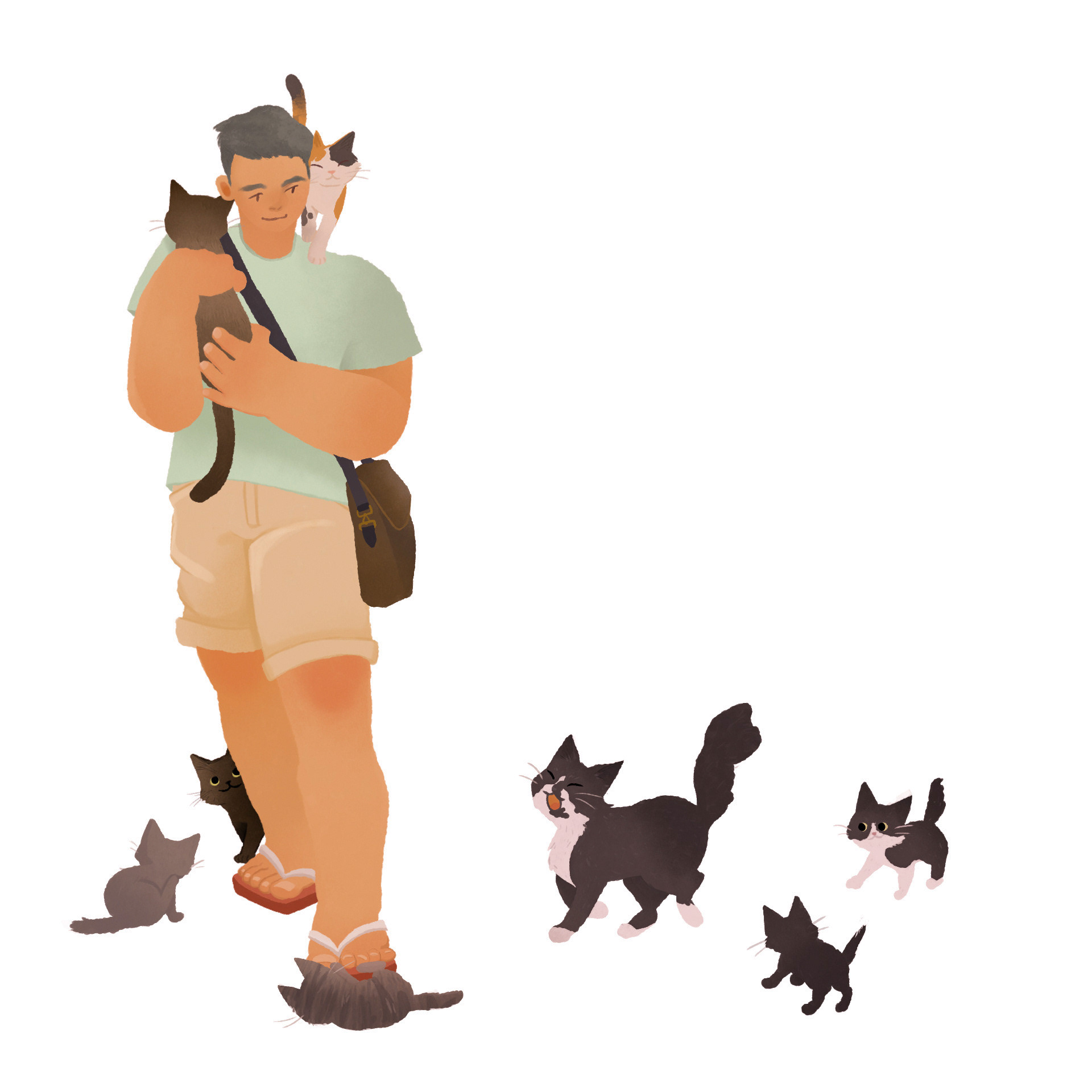 Concept art drawn based on Kedi