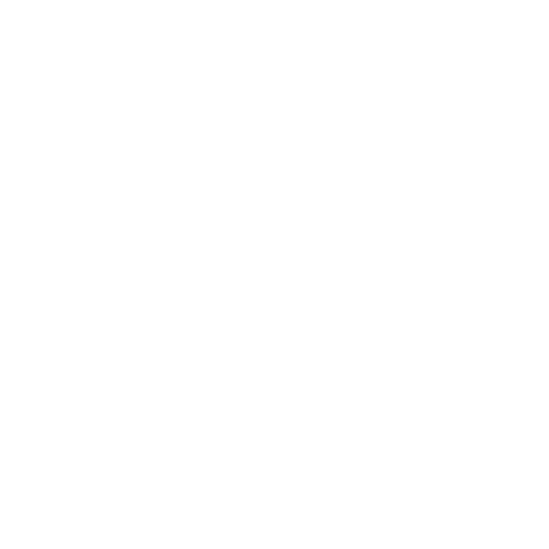 Gabriel Nunez Videography & Photography