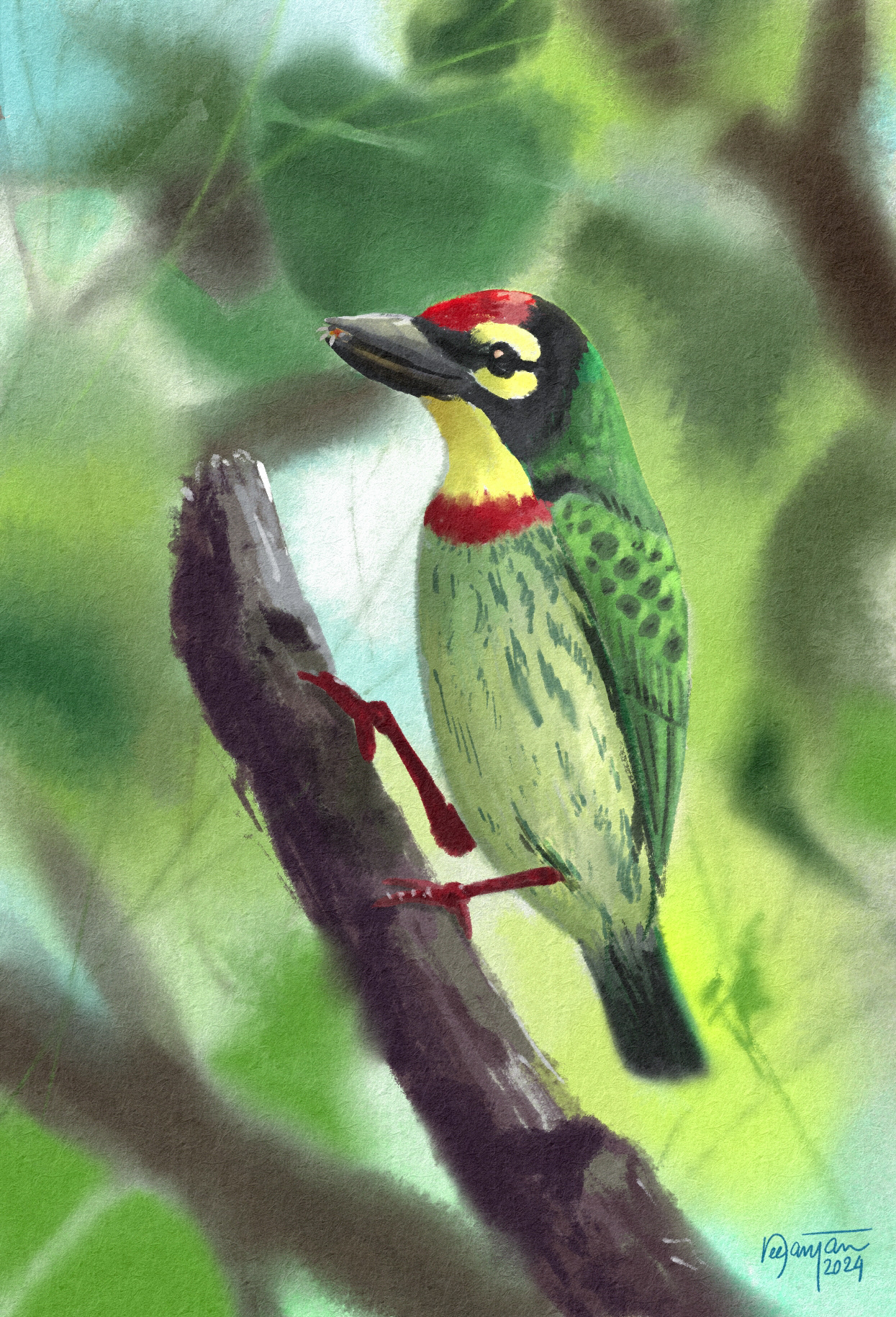 Coppersmith Barber. Seen at Ranganathittu Bird Sanctuary, Karnataka. (Watercolor in Krita)
