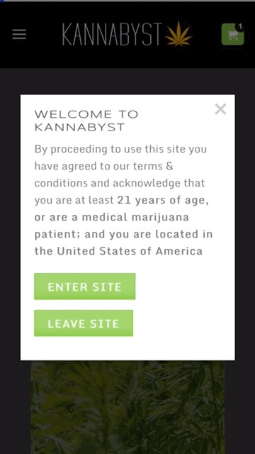 Kannabyst Inc mobile view