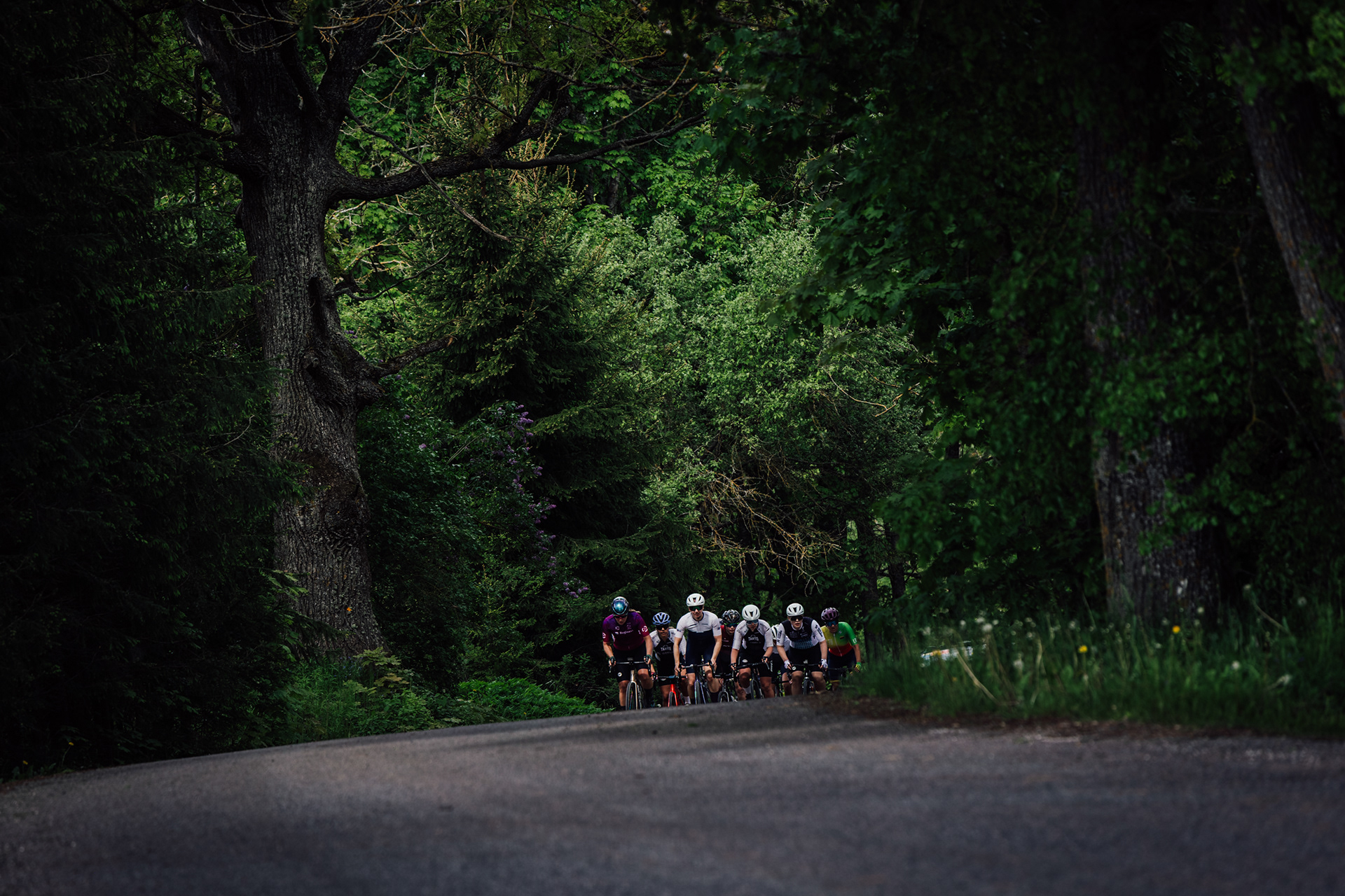 Tour of Ladies 2025