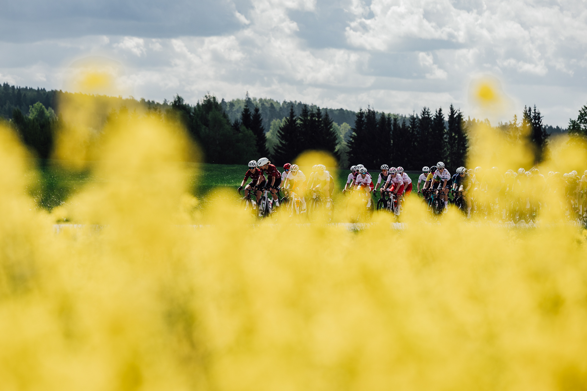 Tour of Ladies 2025