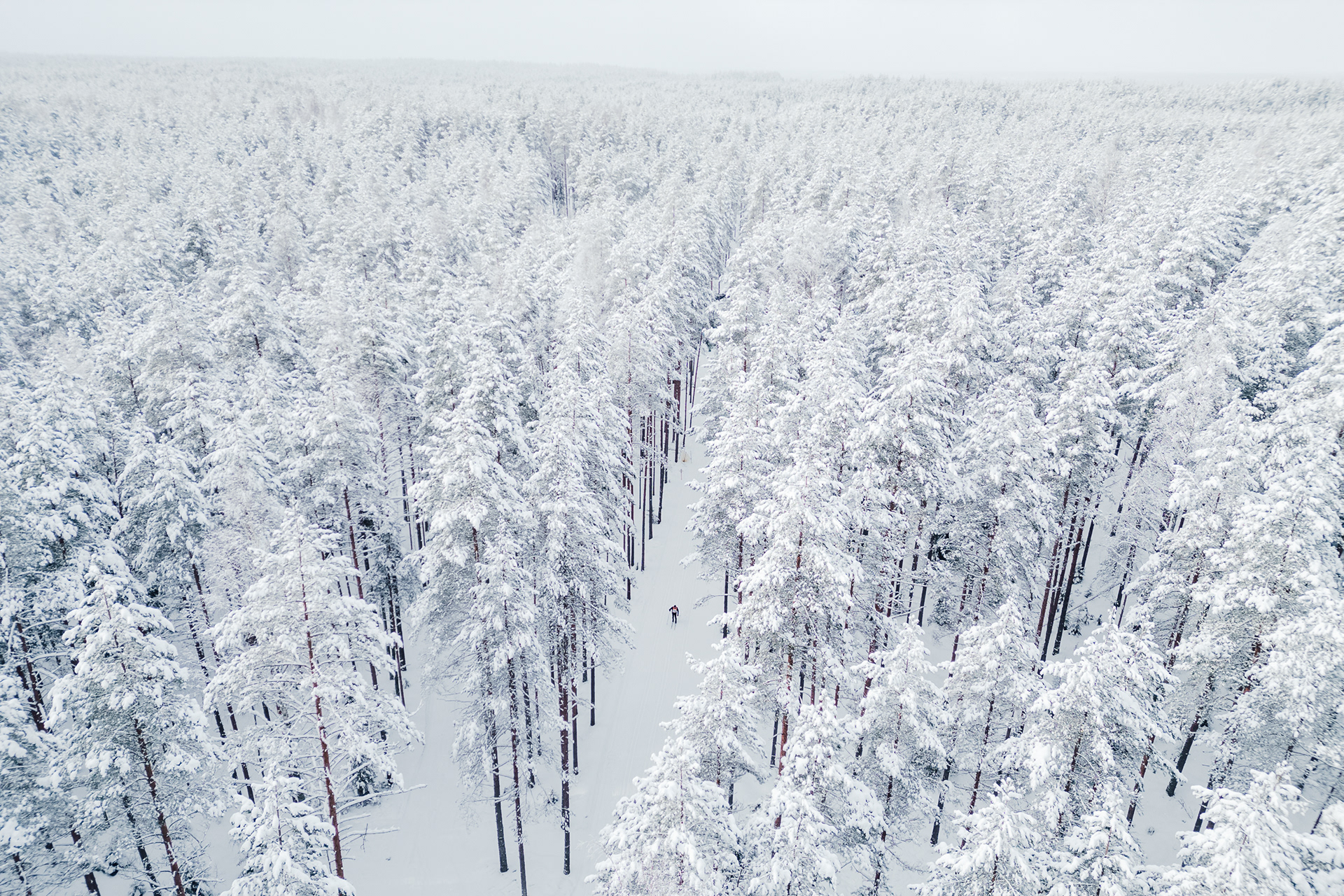 Tartu Ski Marathon 2025