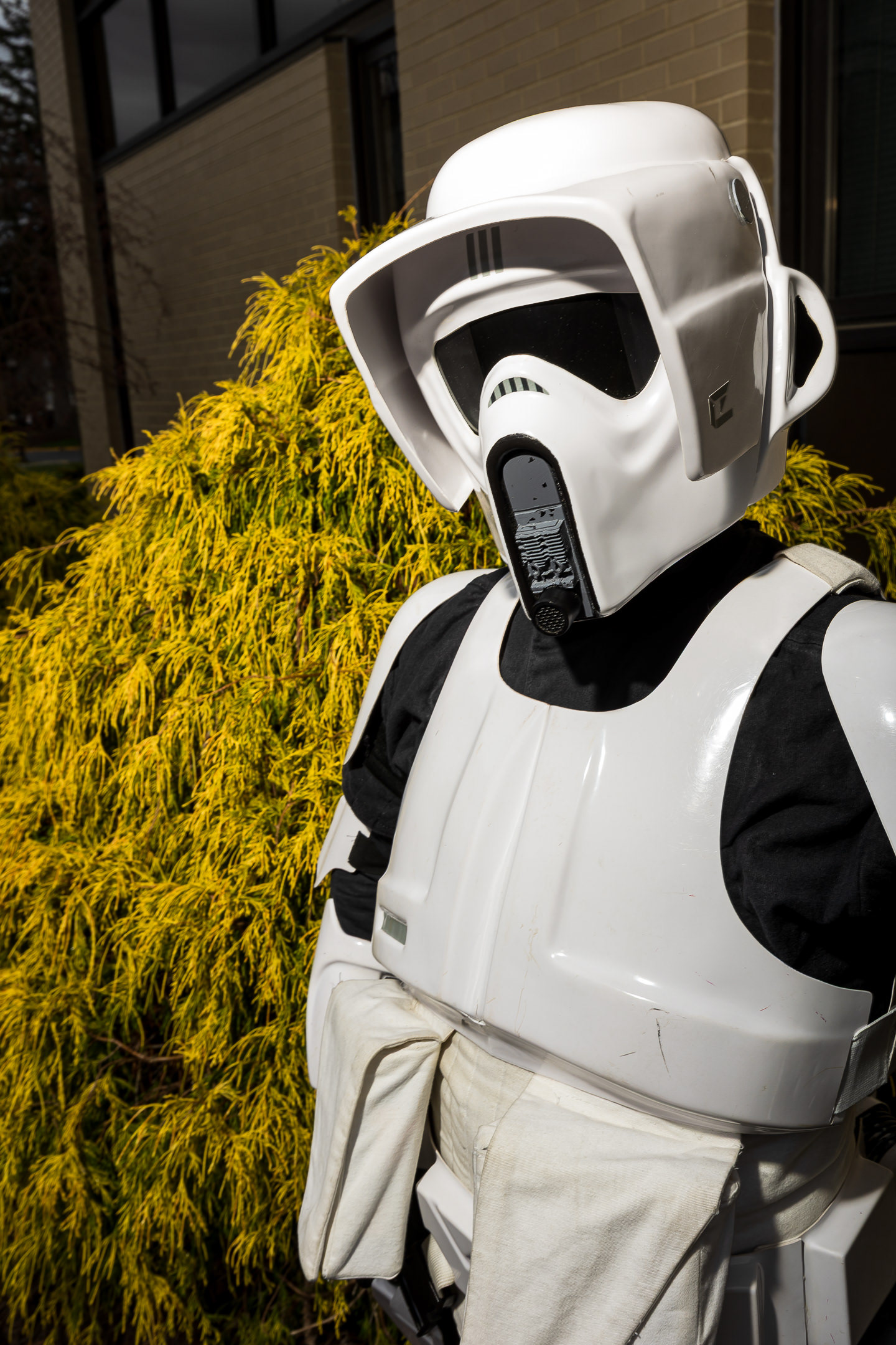 501st Legion