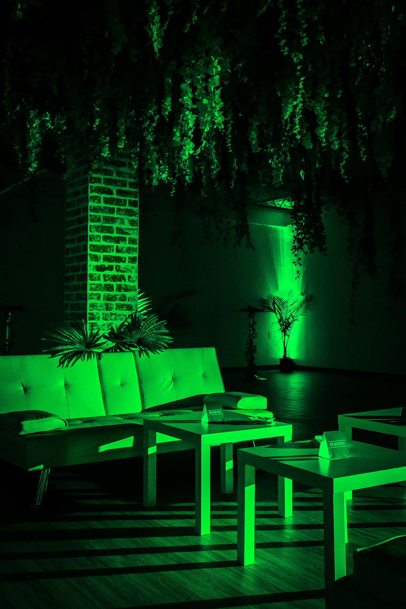 The Realm of the Wild 2