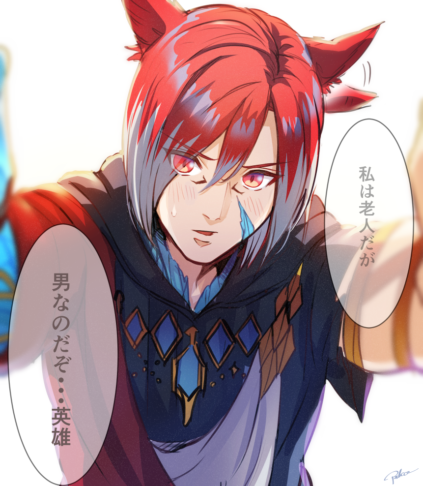 花蓮さんがSSにしてくださいました~LINKから飛んでください
