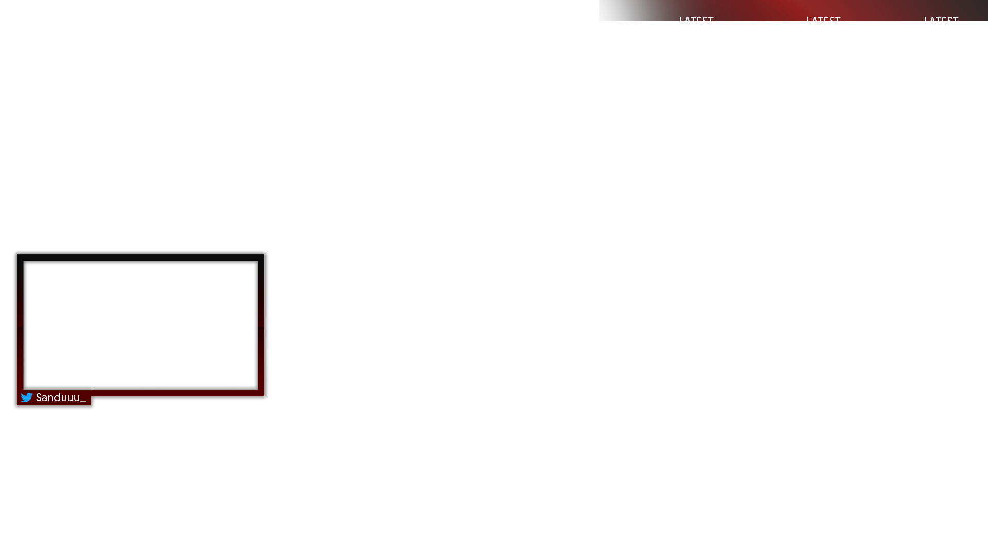 Facecam and the added typical laters follower, sub and donation information tab.
