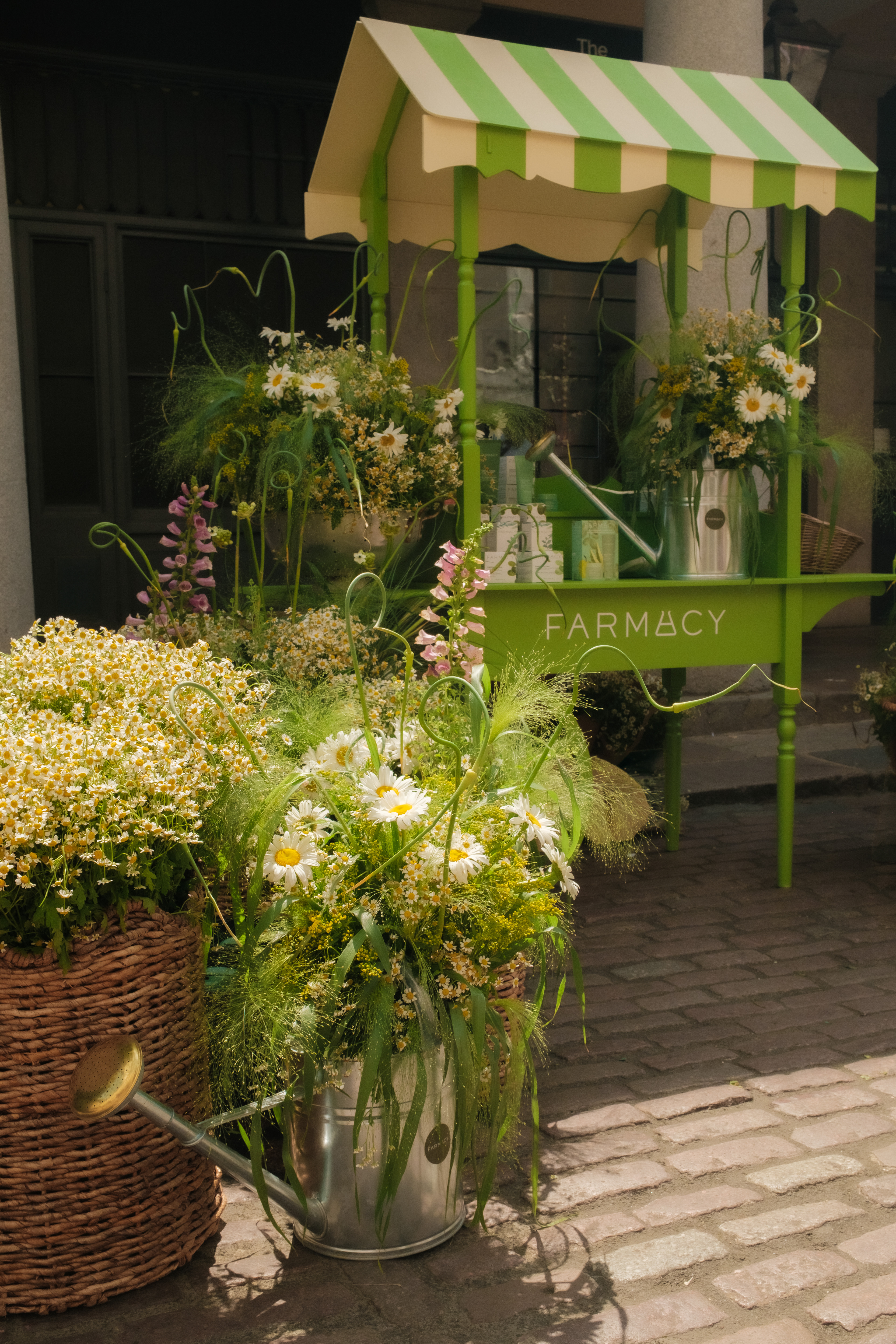 Luby Hart Design x Farmacy