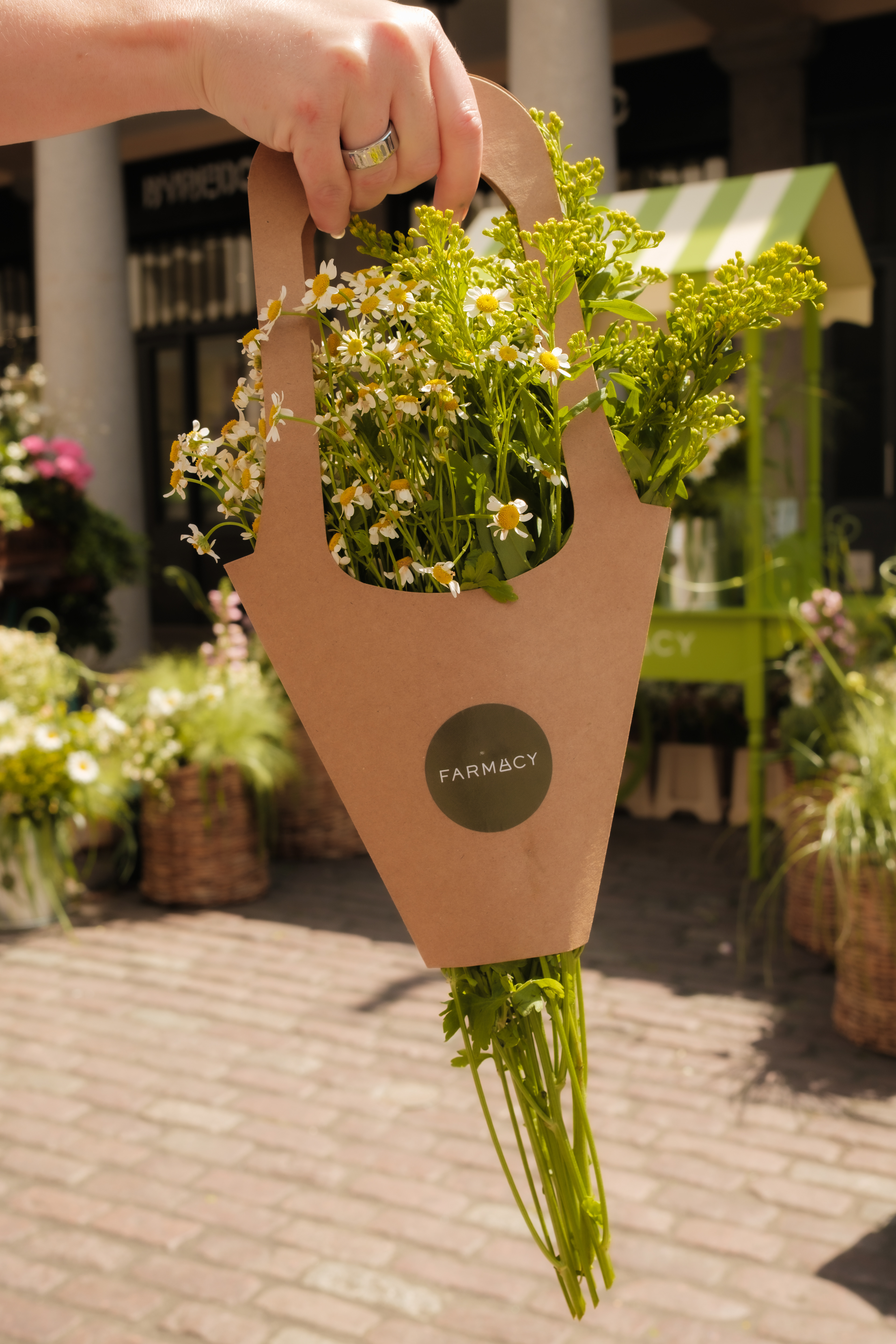 Luby Hart Design x Farmacy