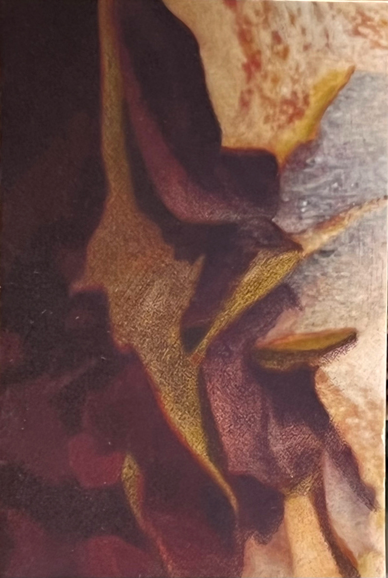Strawberry, Mezzotint and Inkjet