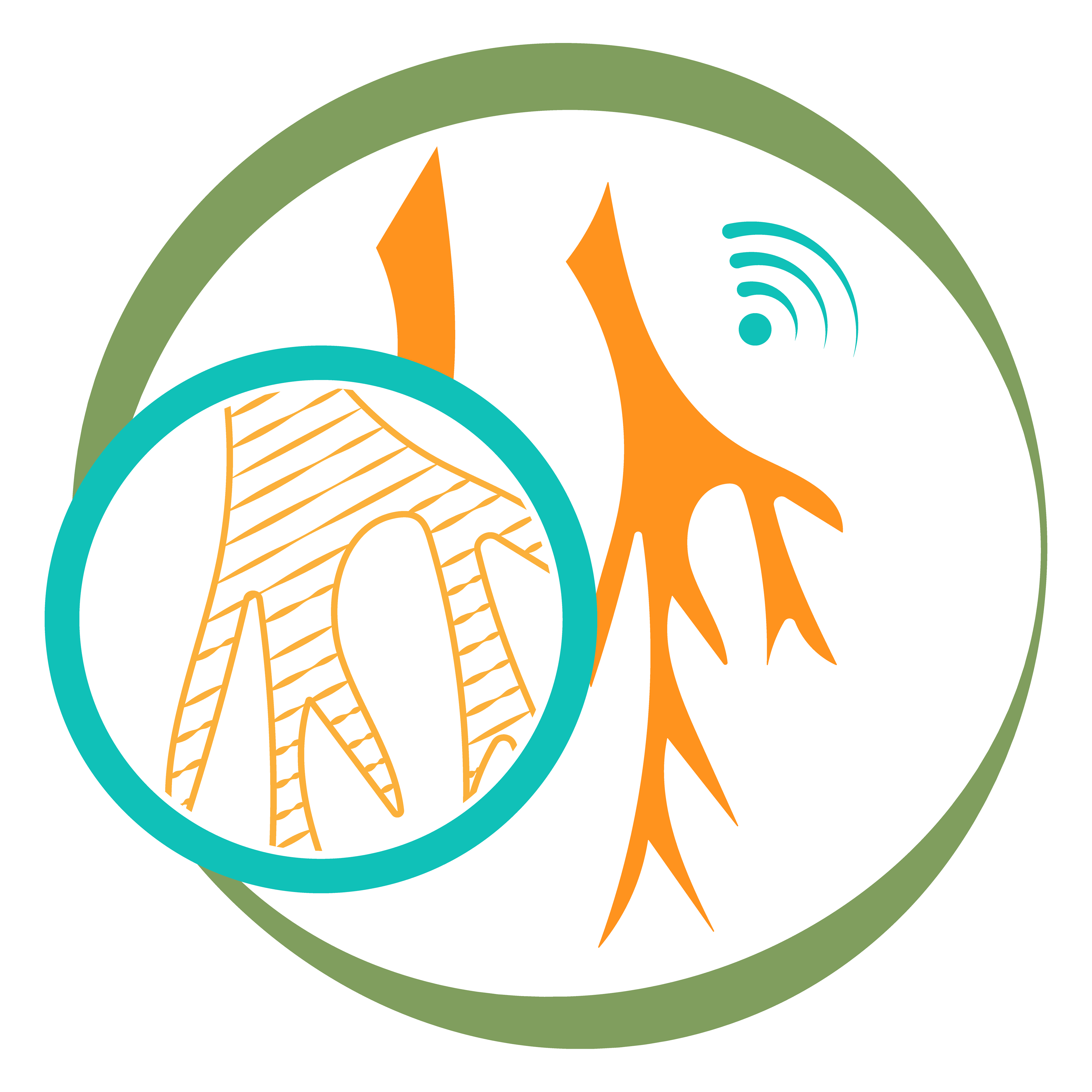 Root scanner/scanner de racines